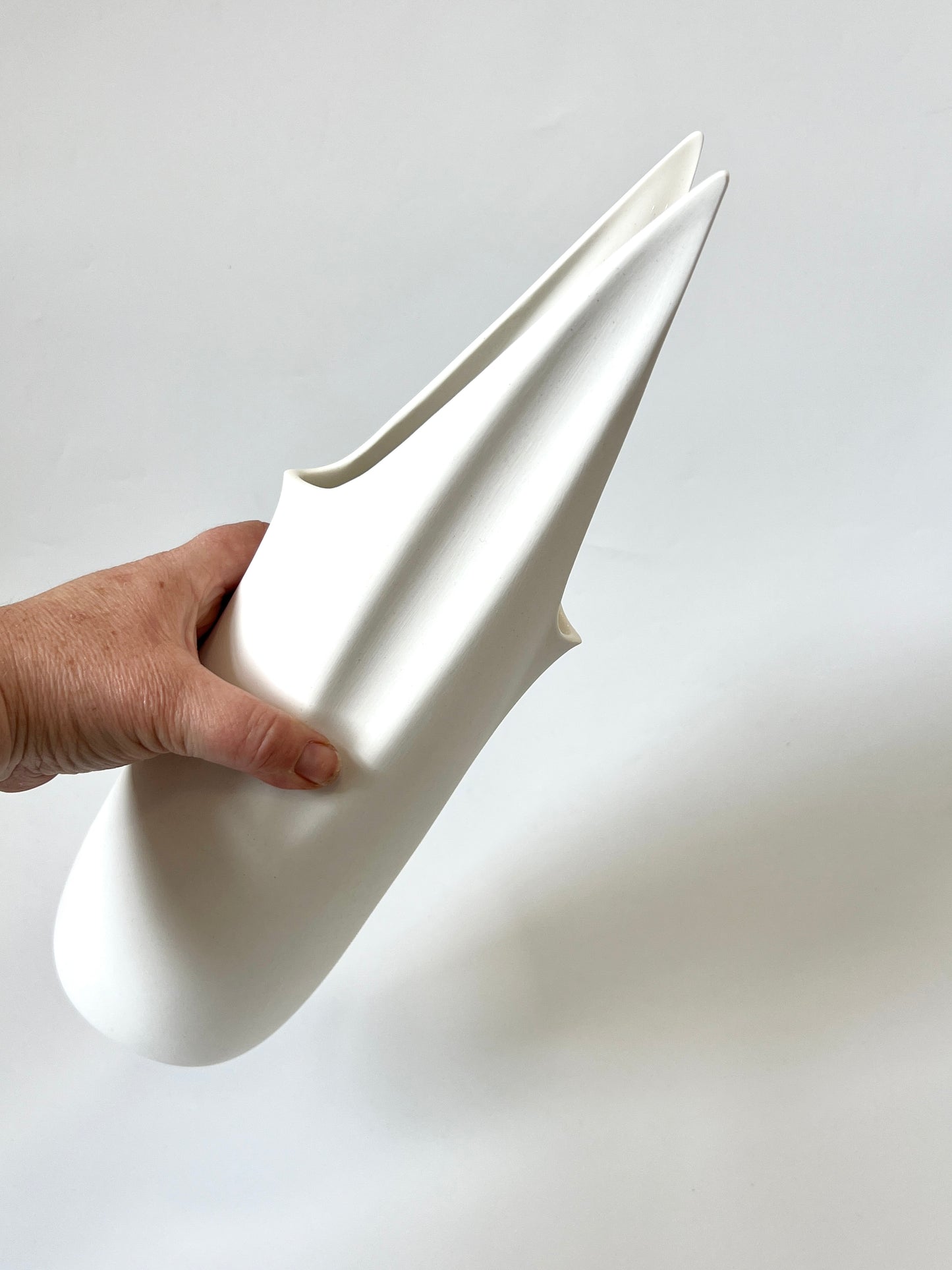 Wing Water Vessel - Gloss White