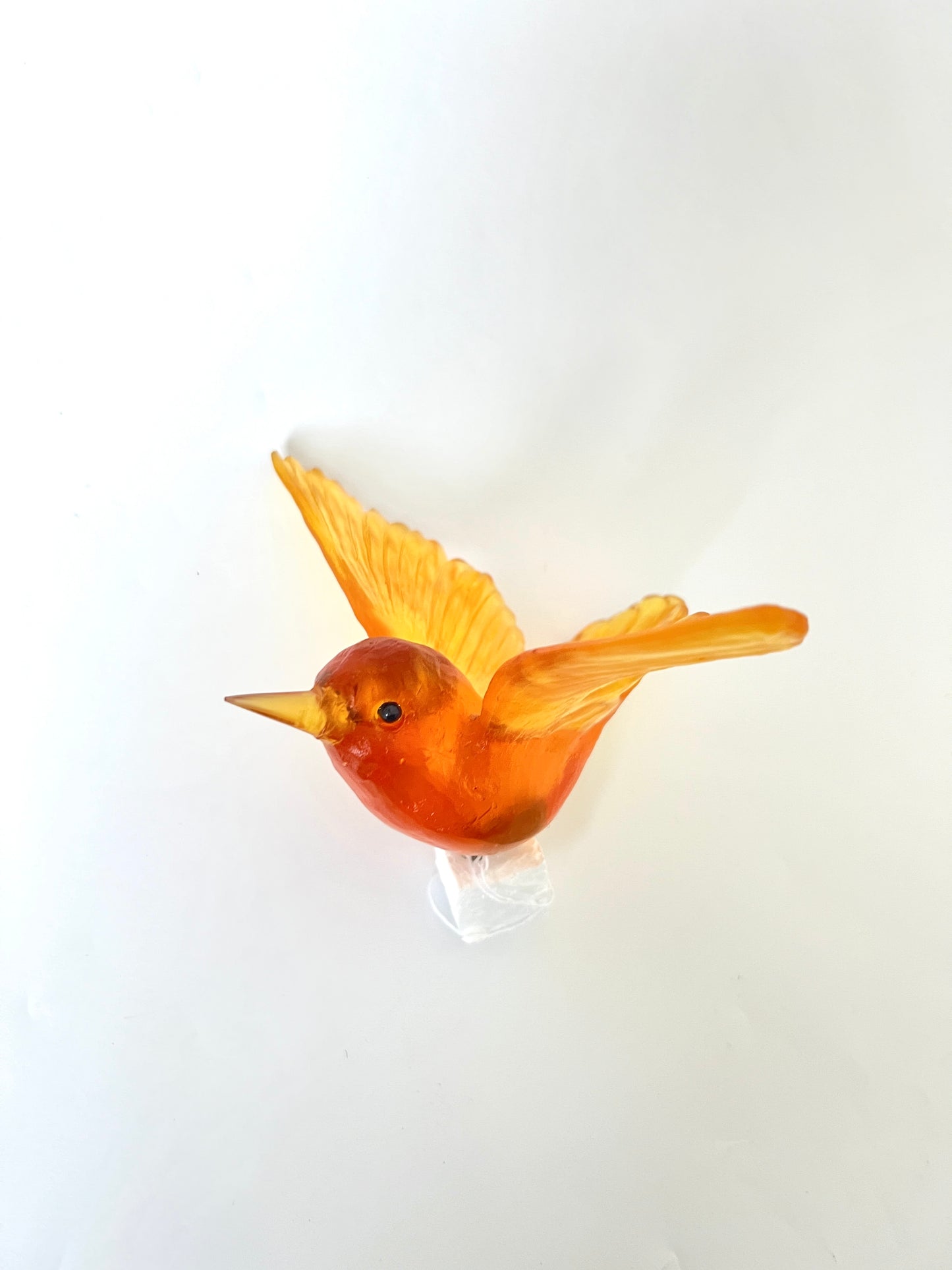 Tomtit / Kōmiromiro - Orange - Glass artwork by Luke Jacomb