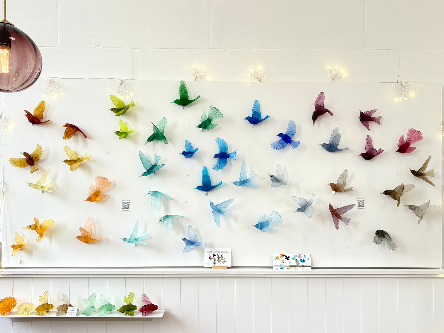 Yellowhead / Mōhua - Aquamarine