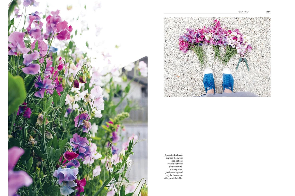 "A Guided Discovery of Gardening" by Julia Atkinson-Dunn