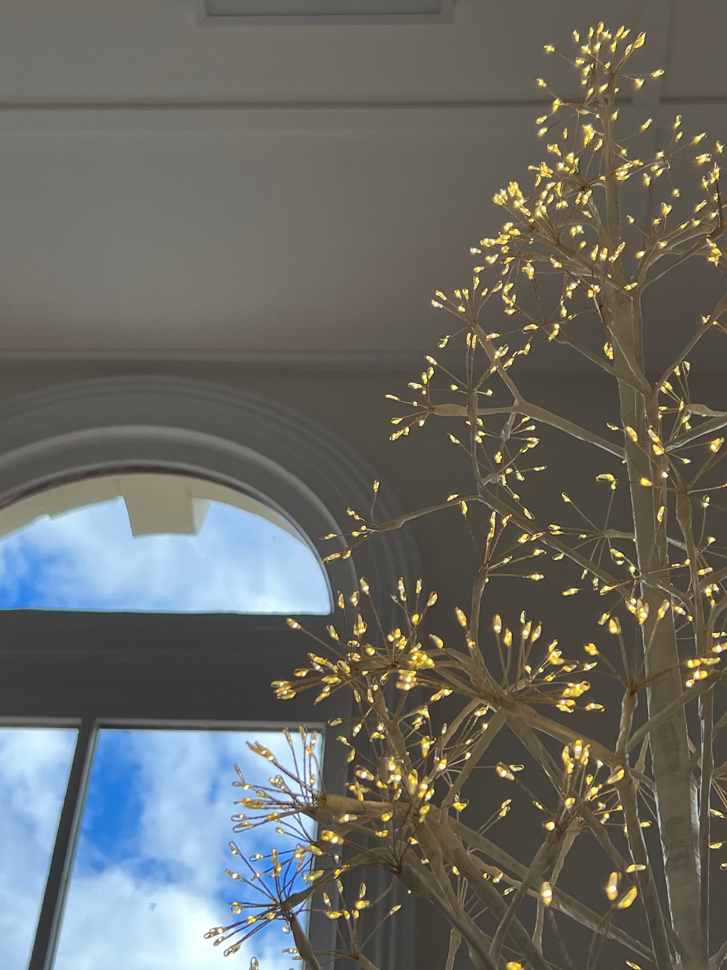 "Frankfurt" Starburst LED Tree - Medium (150cm)