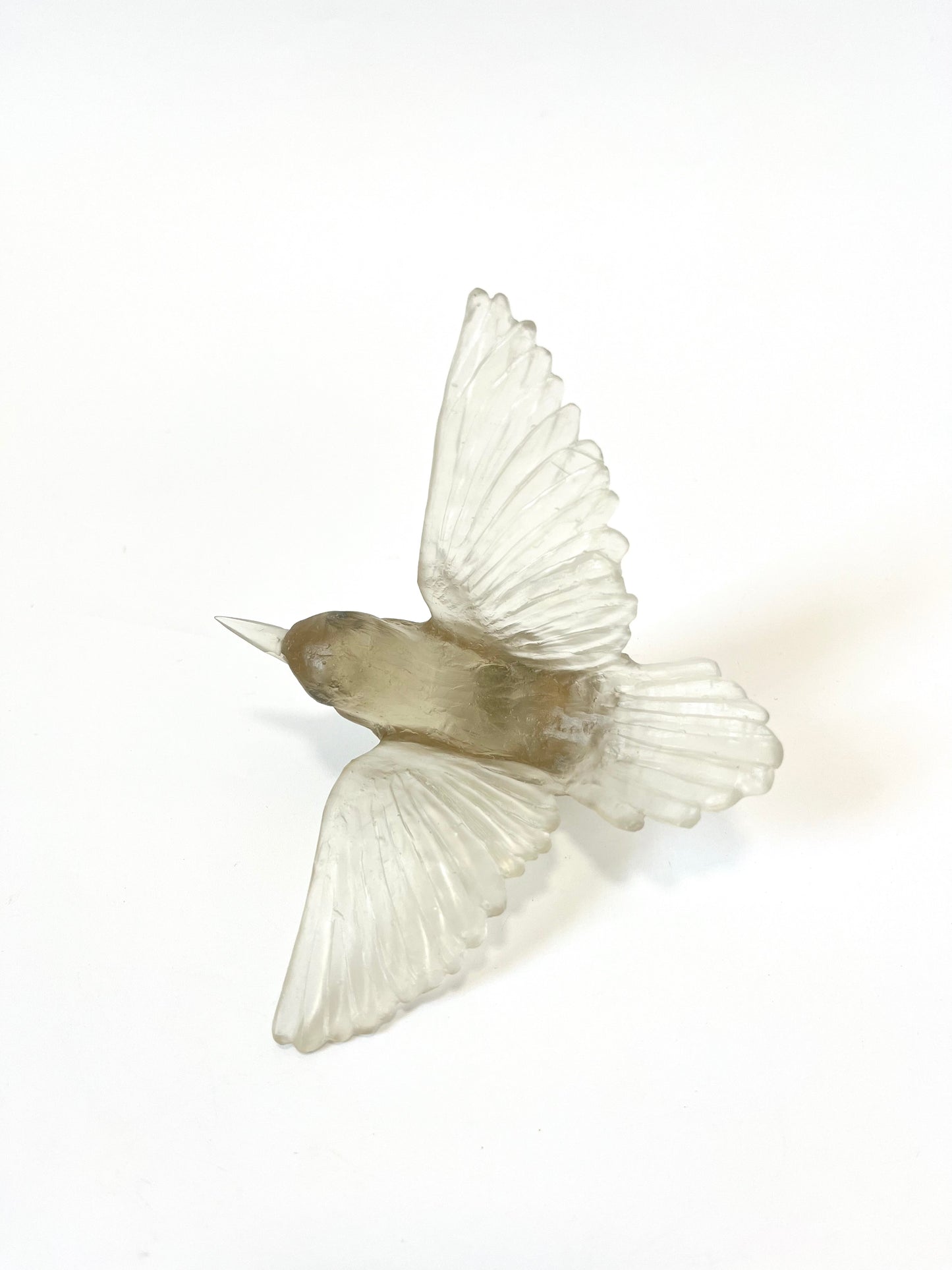 Tomtit / Kōmiromiro - Pale Bronze