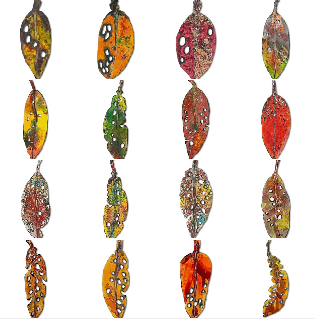 Small Pohutukawa Leaf (21642)