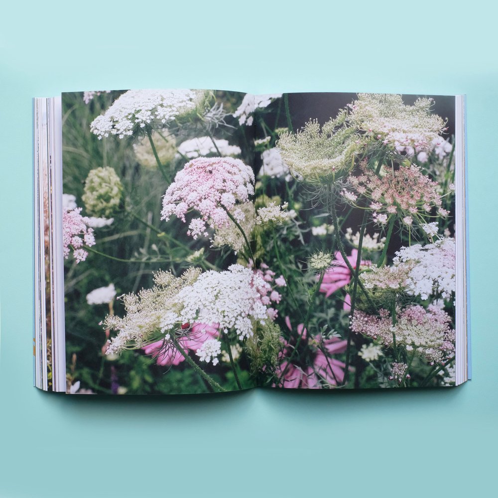 "A Guided Discovery of Gardening" by Julia Atkinson-Dunn