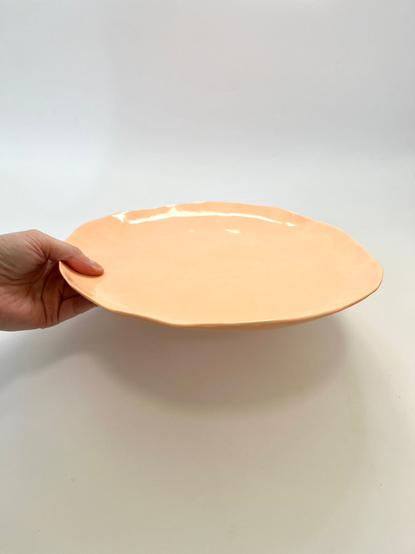 Coral Plate - One of a Kind Ceramic - 27cm