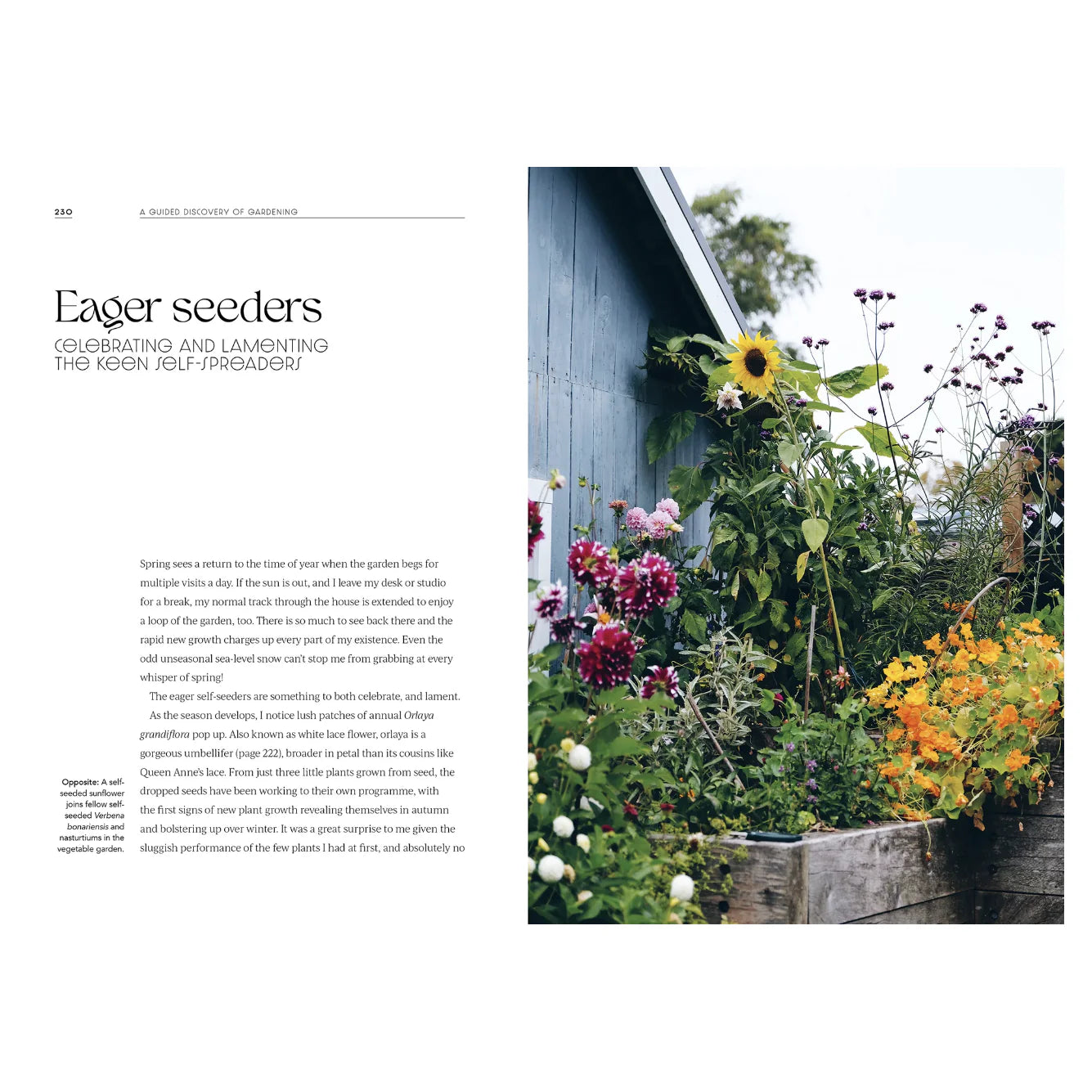 "A Guided Discovery of Gardening" by Julia Atkinson-Dunn