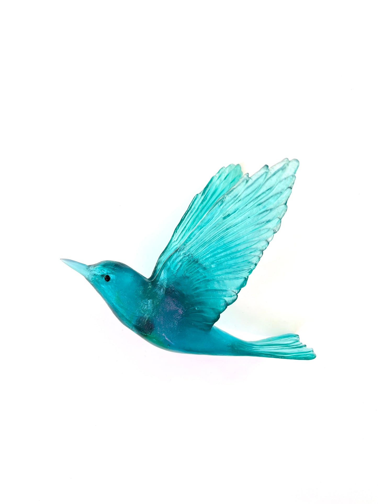 Shining Cuckoo / Pipiwharauroa - Jade