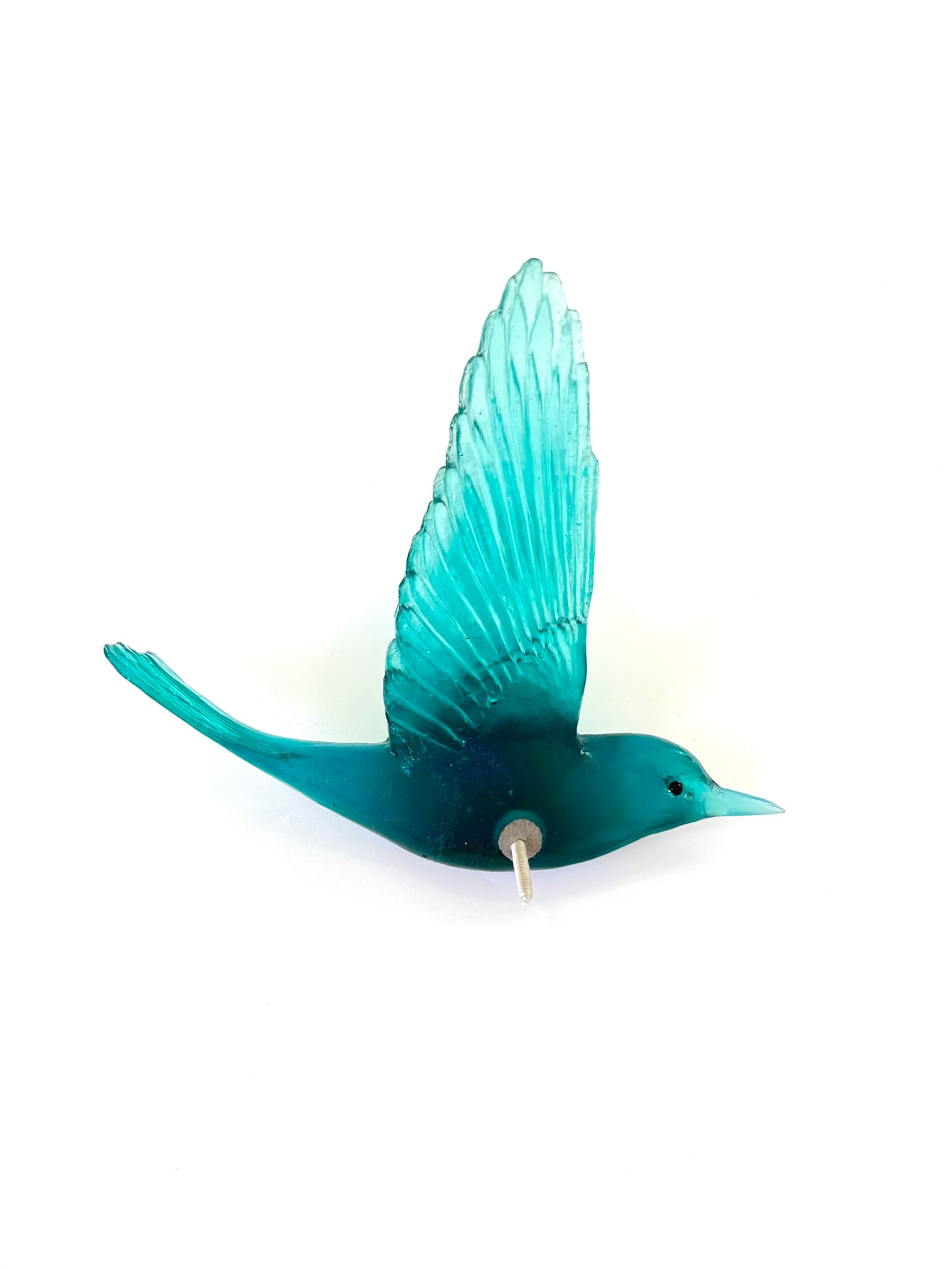 Shining Cuckoo / Pipiwharauroa - Jade