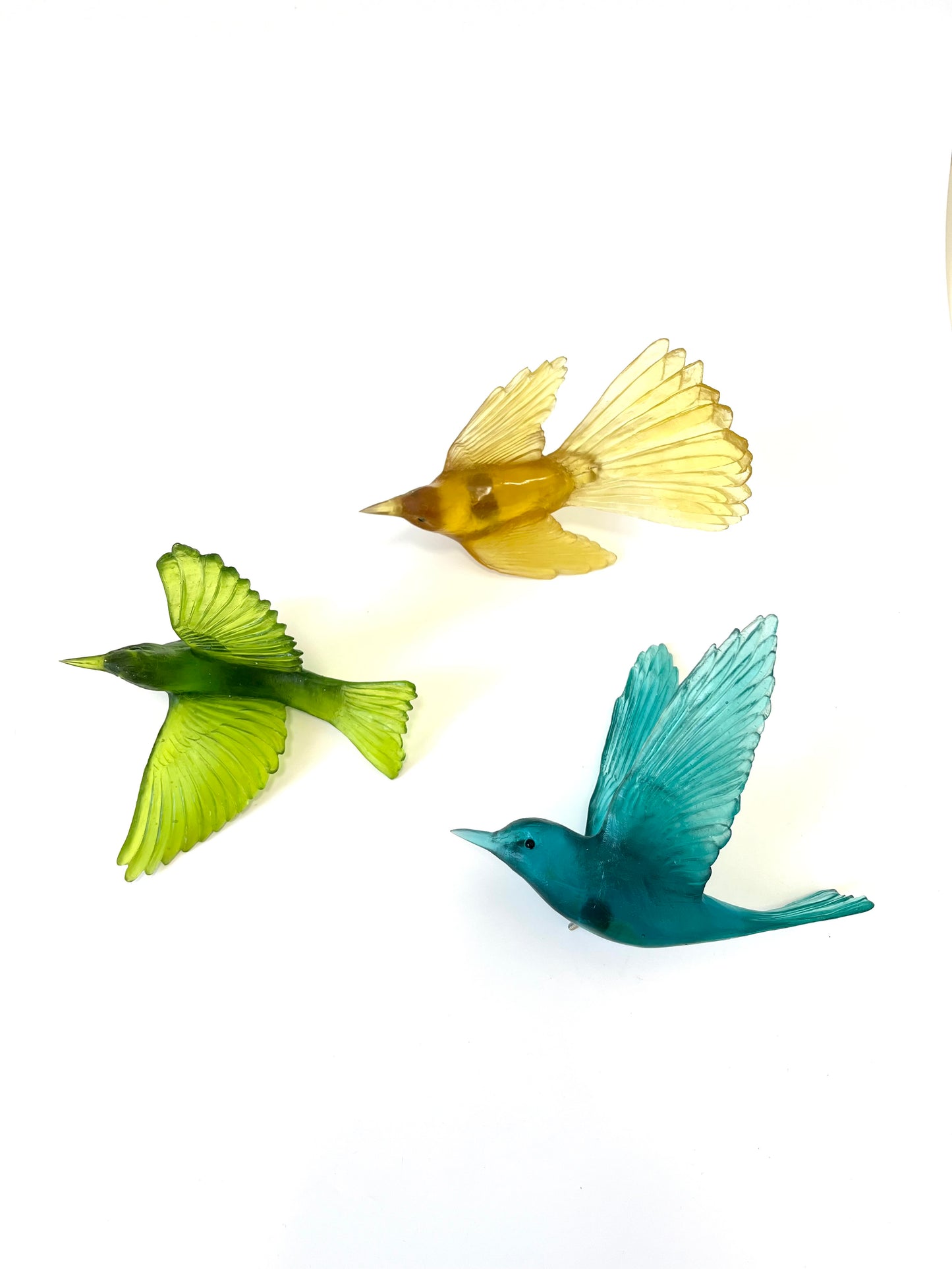 Shining Cuckoo / Pipiwharauroa - Jade