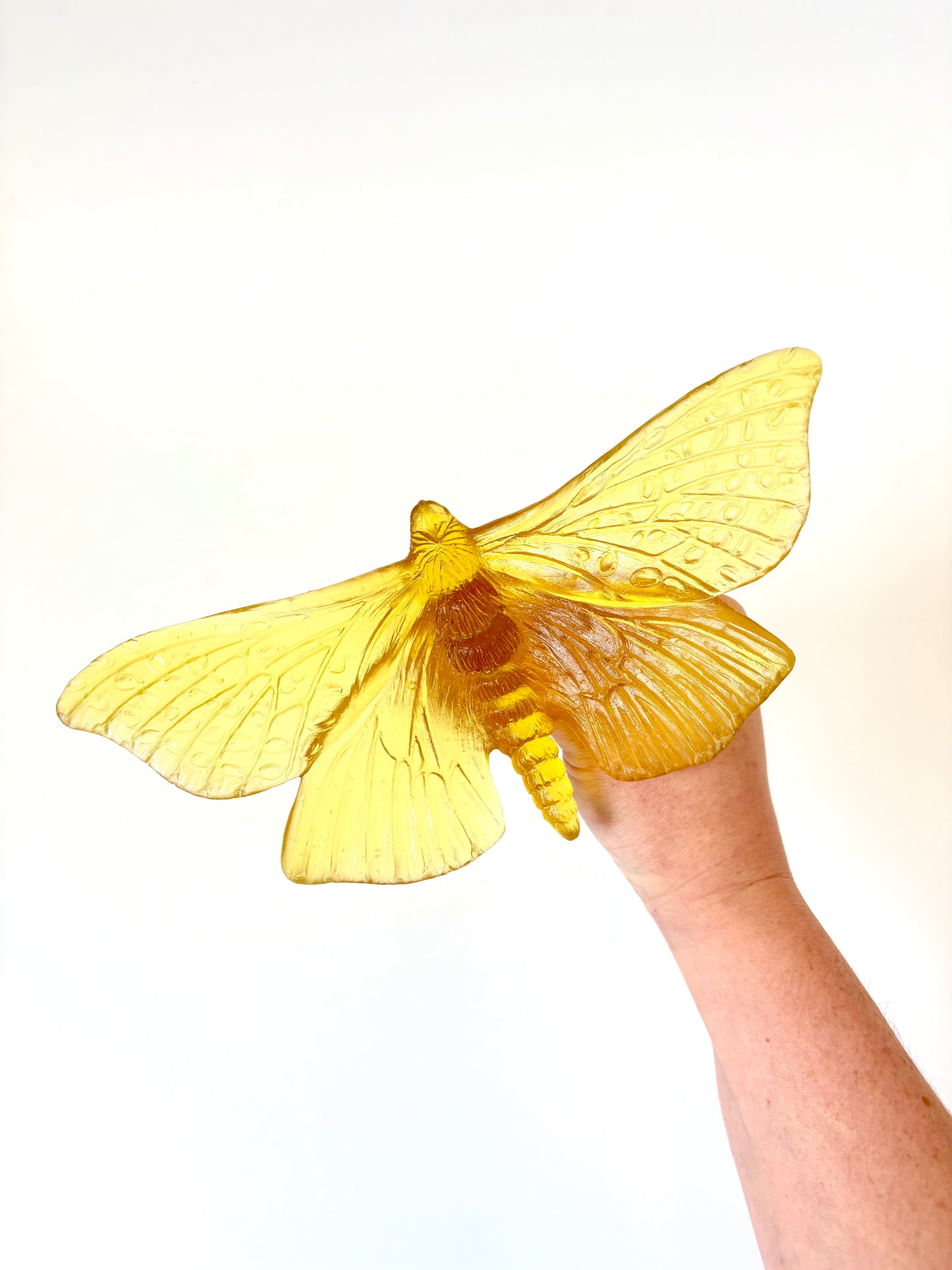 Chardonnay Glass Moth / Pūriri Artwork - Large - by Luke Jacomb