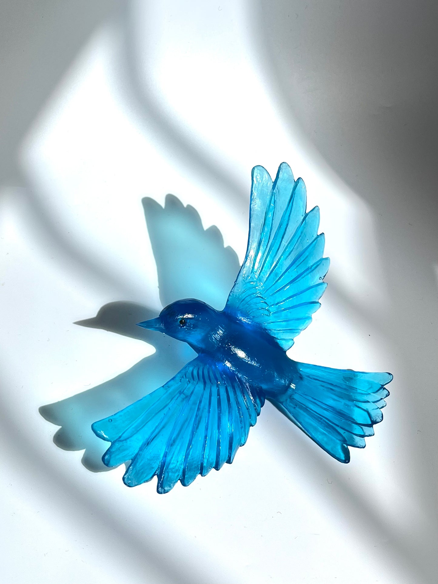 Yellowhead / Mōhua - Copper Blue