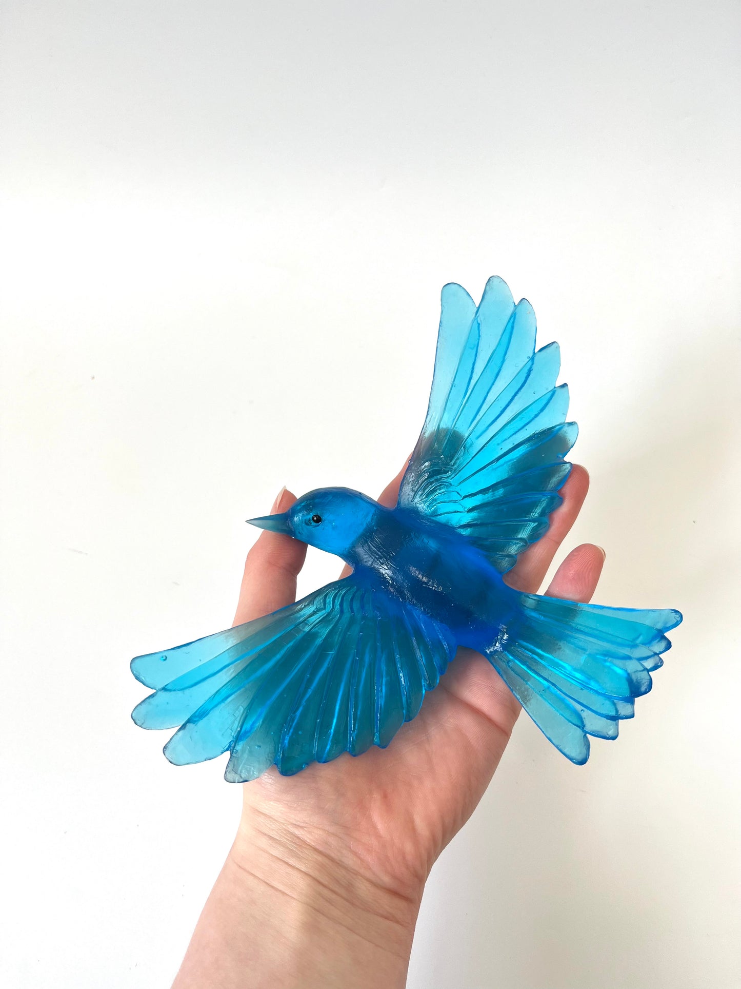 Yellowhead / Mōhua - Copper Blue