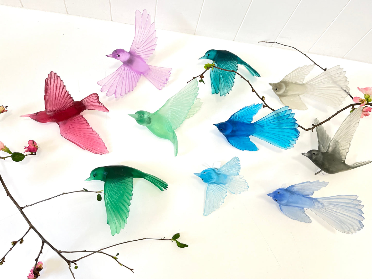 Fantail / Pīwakawaka - Pale Grey