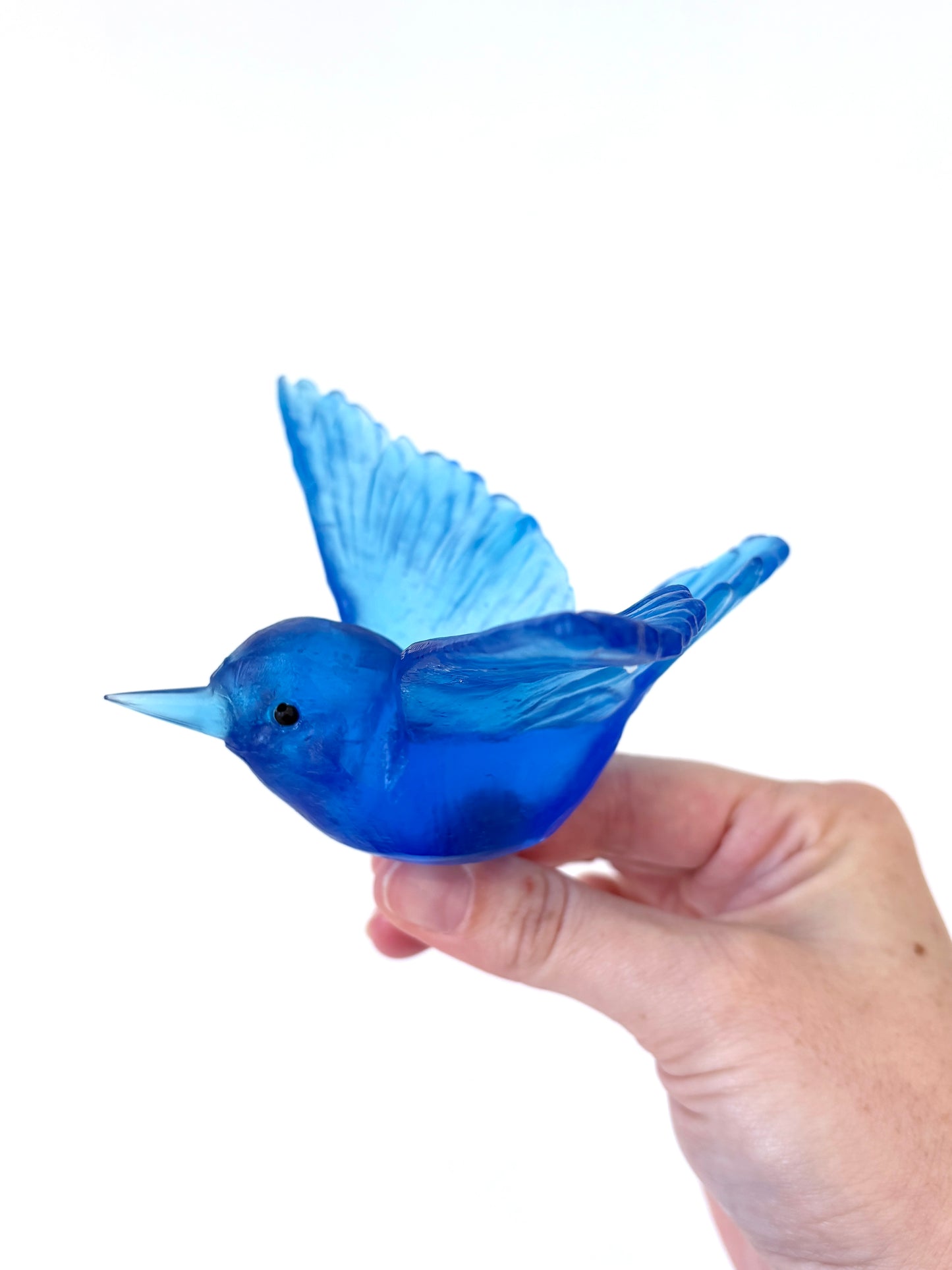 Tomtit / Kōmiromiro - Aquamarine