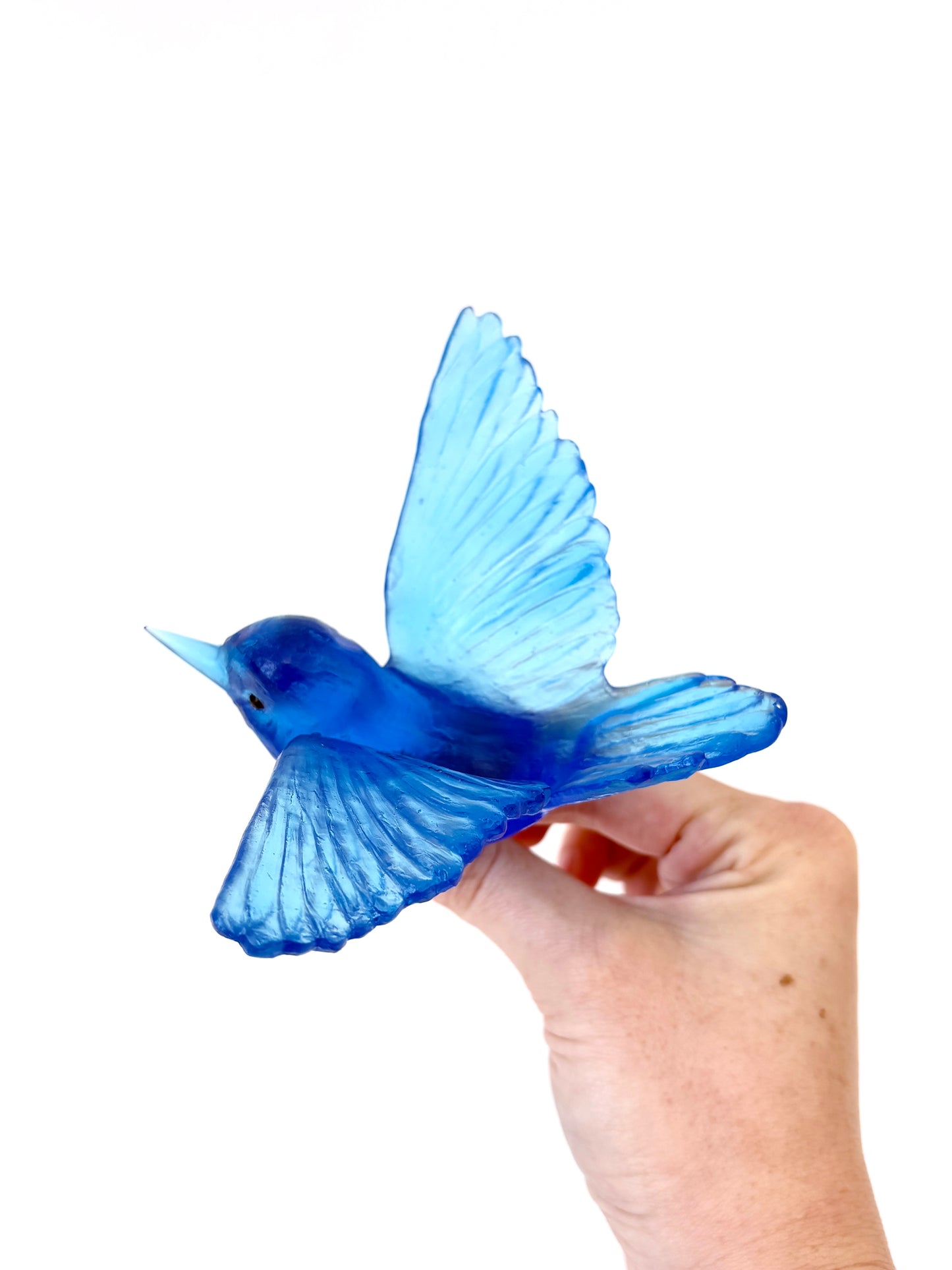 Tomtit / Kōmiromiro - Aquamarine