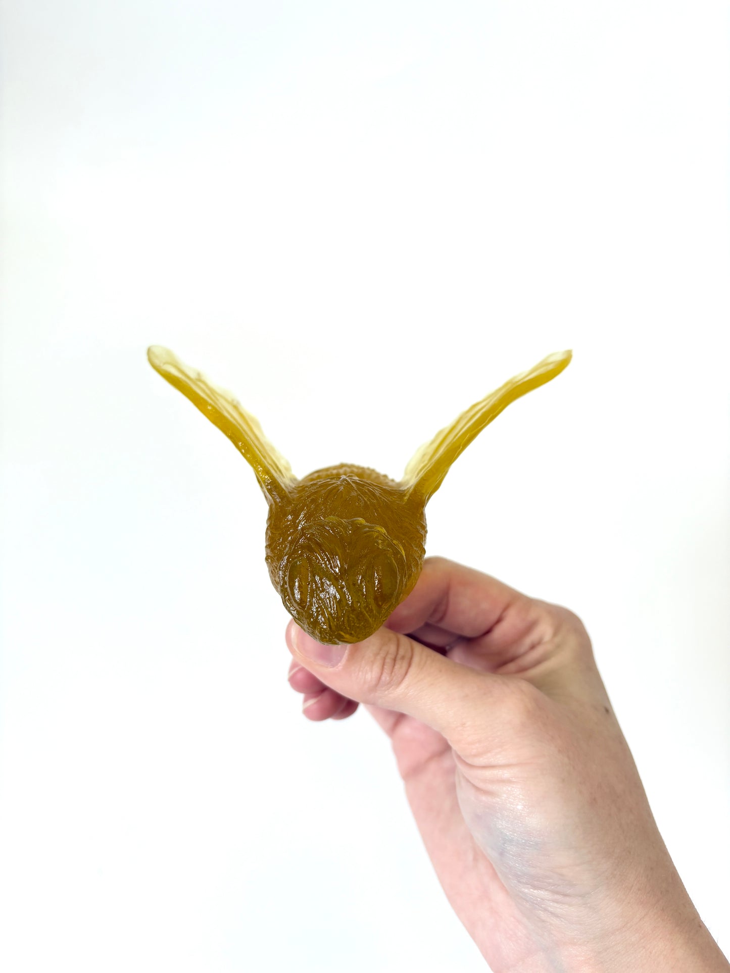 Bee - Chardonnay - Glass artwork by Luke Jacomb
