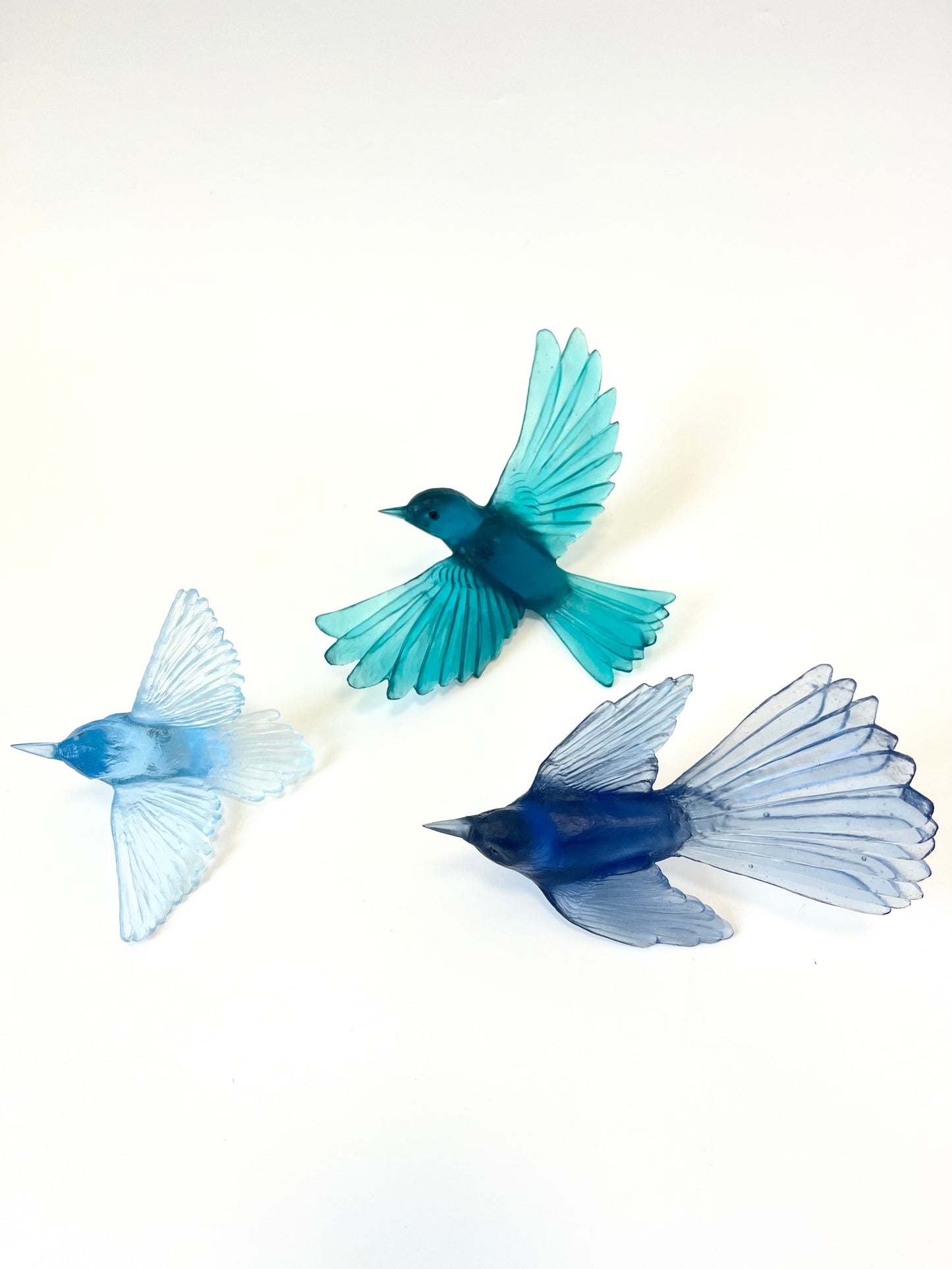 Tomtit / Kōmiromiro - Pale Aqua