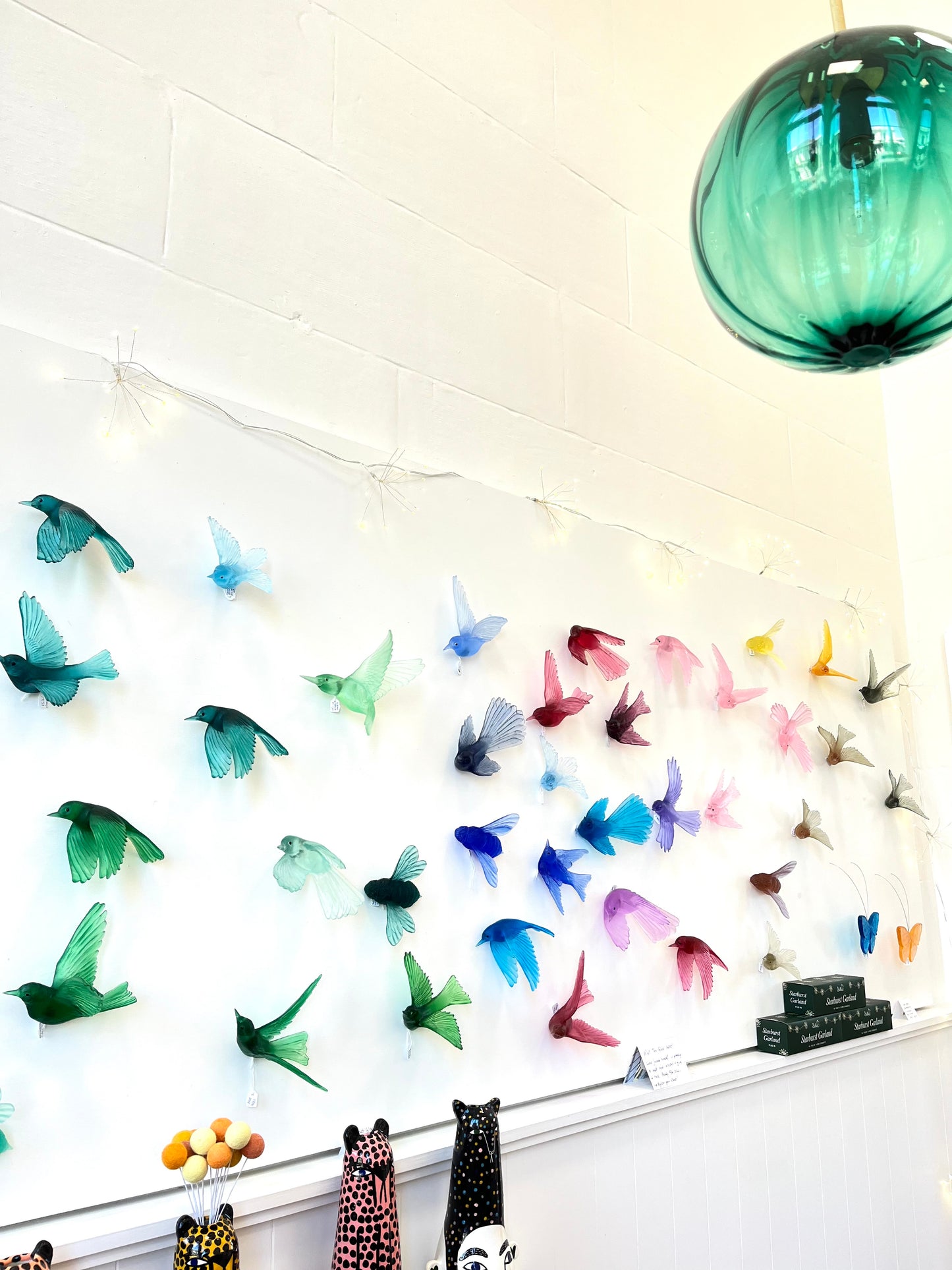 Yellowhead / Mōhua - Hyacinth