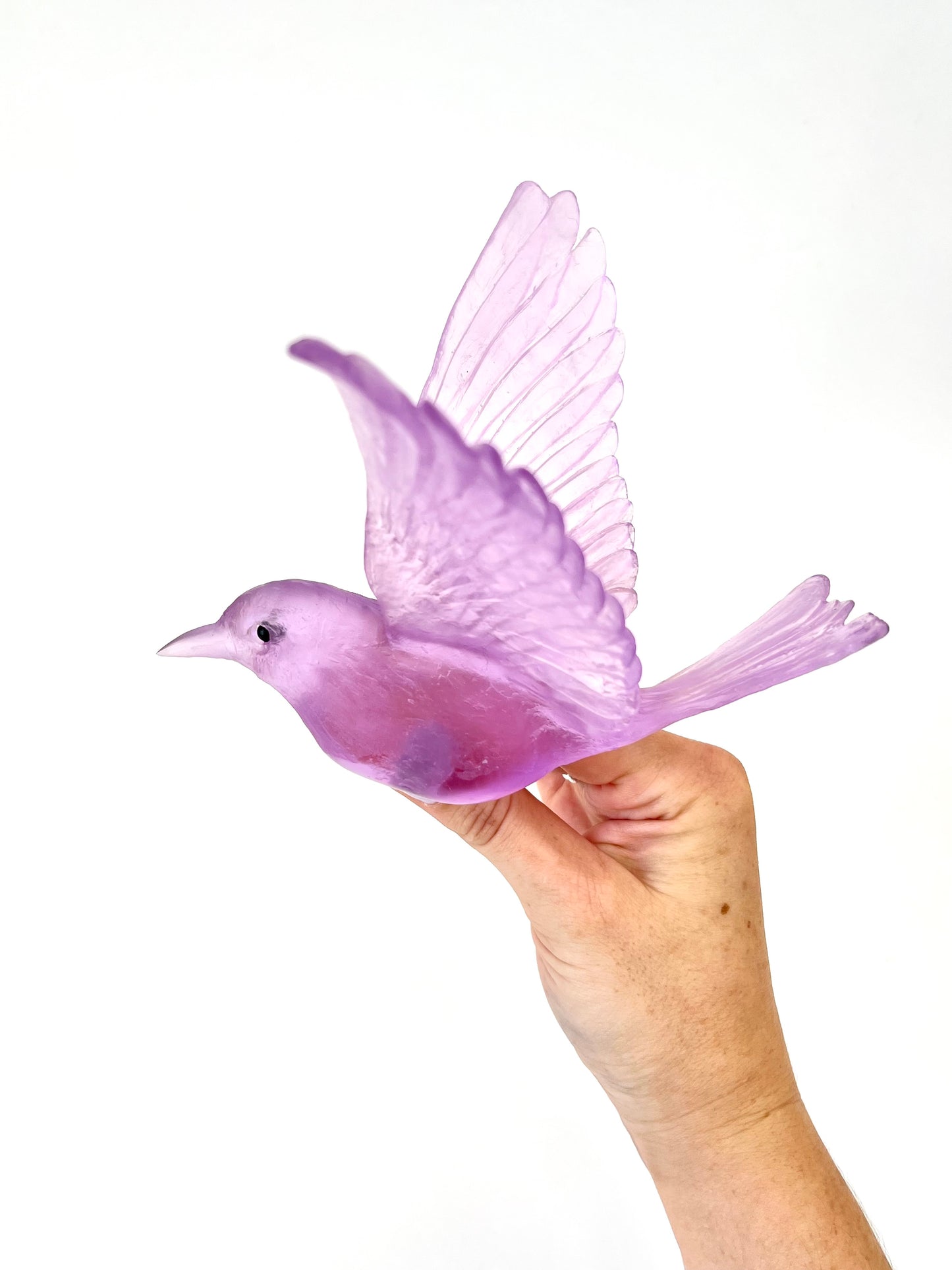 Stitchbird / Hihi - Fuchsia
