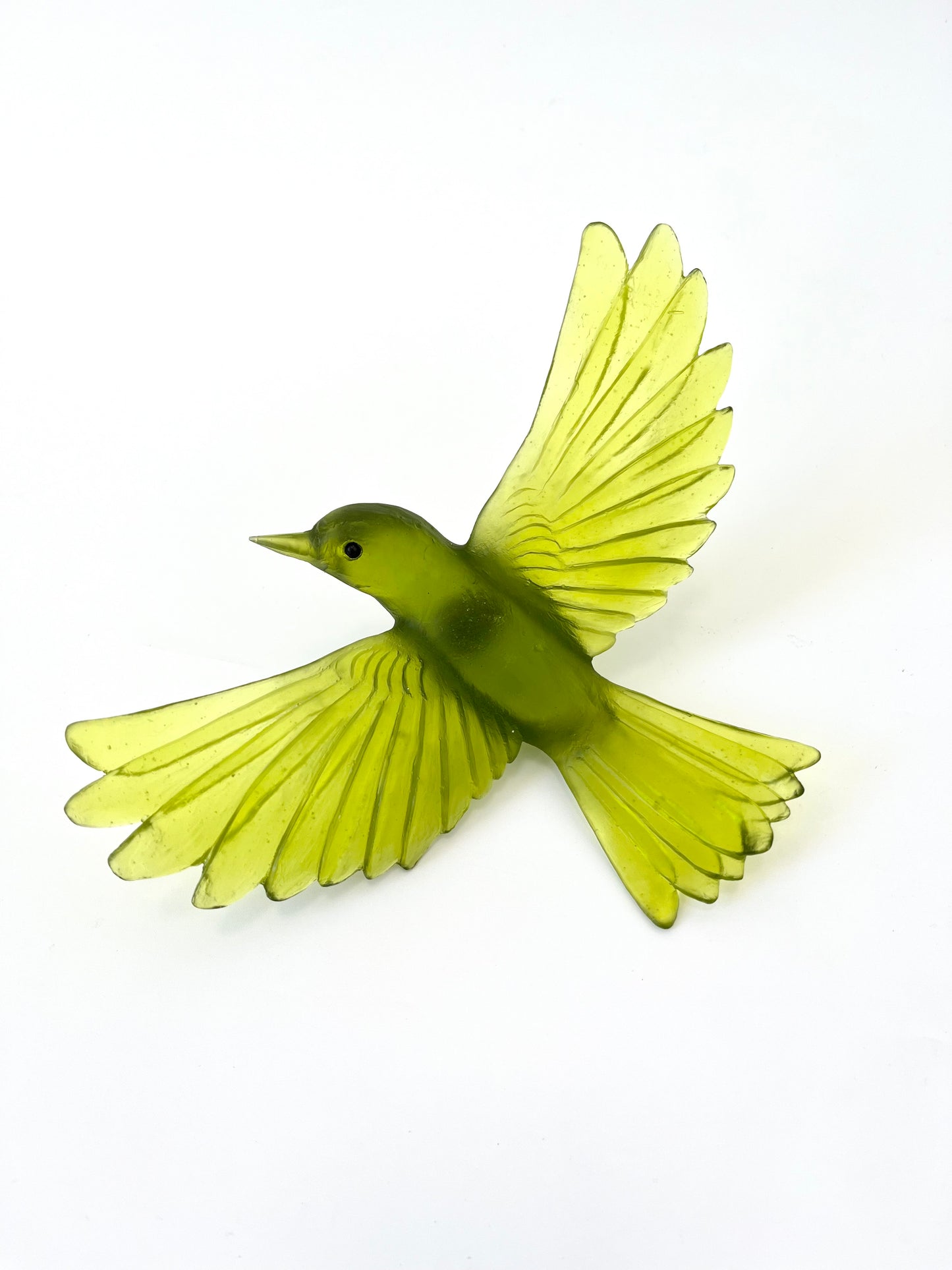 Yellowhead / Mōhua - Olive