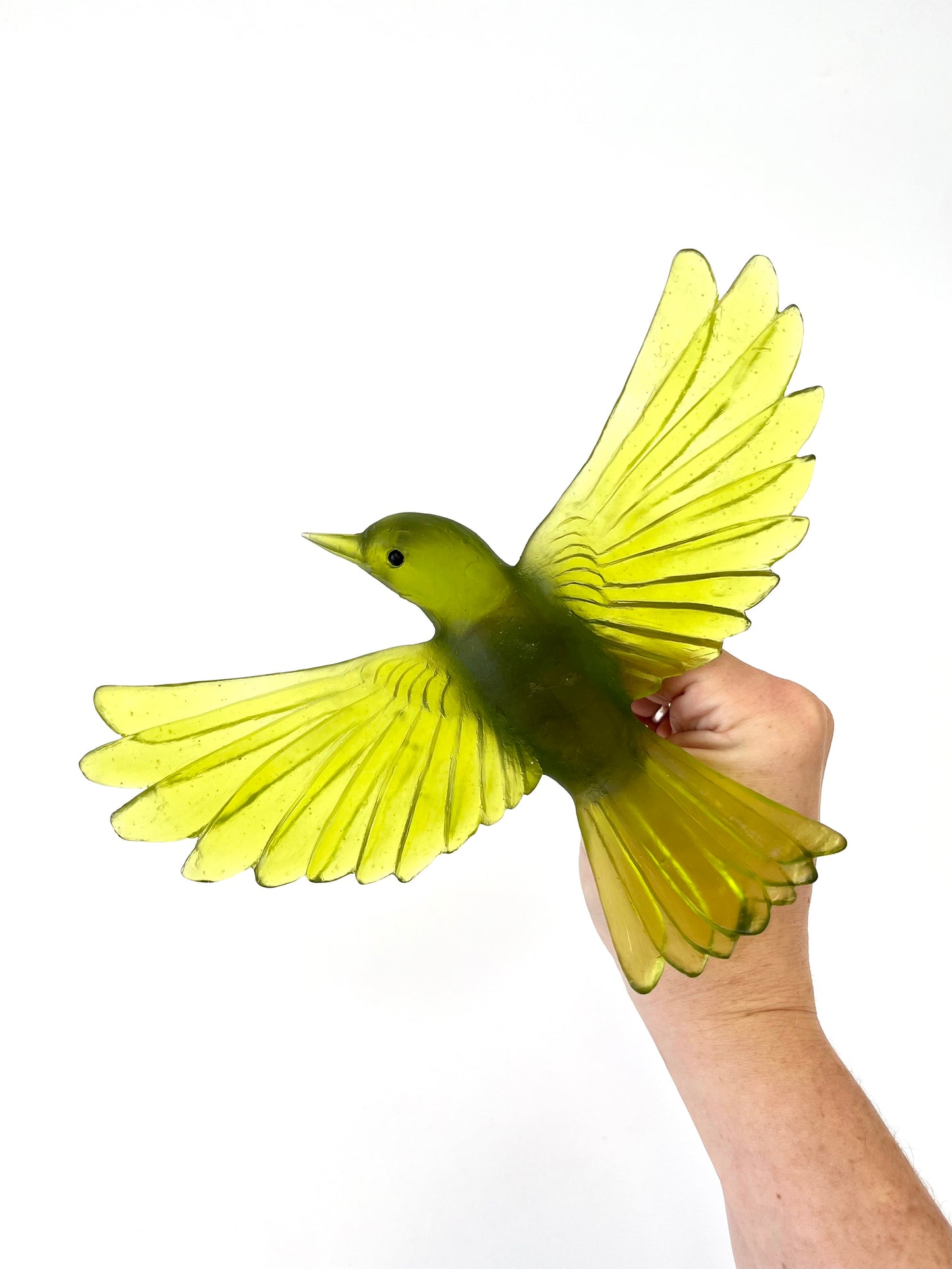 Yellowhead / Mōhua - Olive