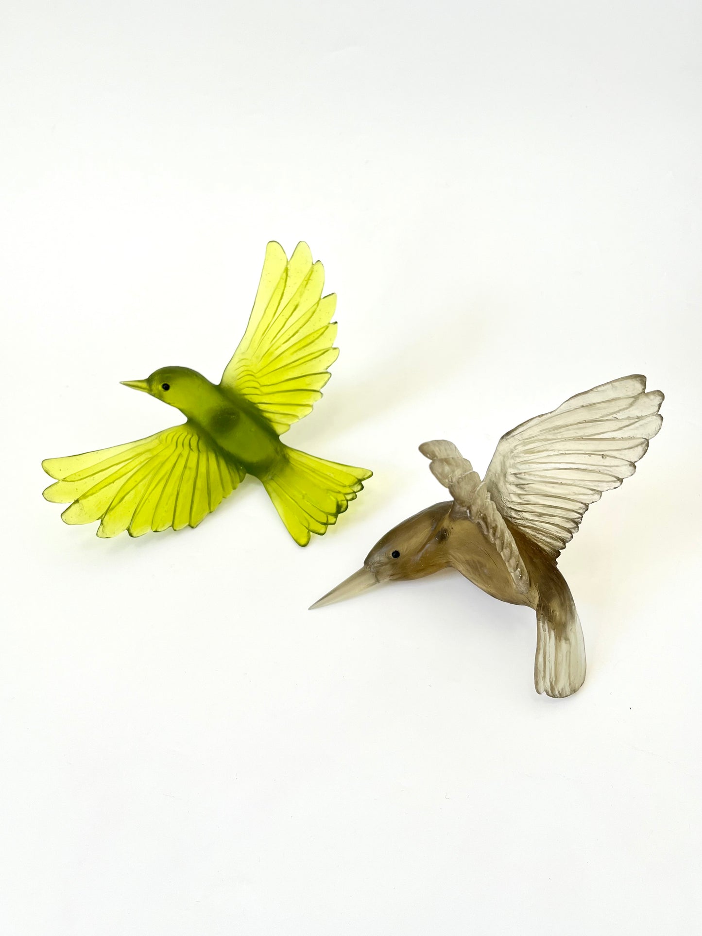 Yellowhead / Mōhua - Olive