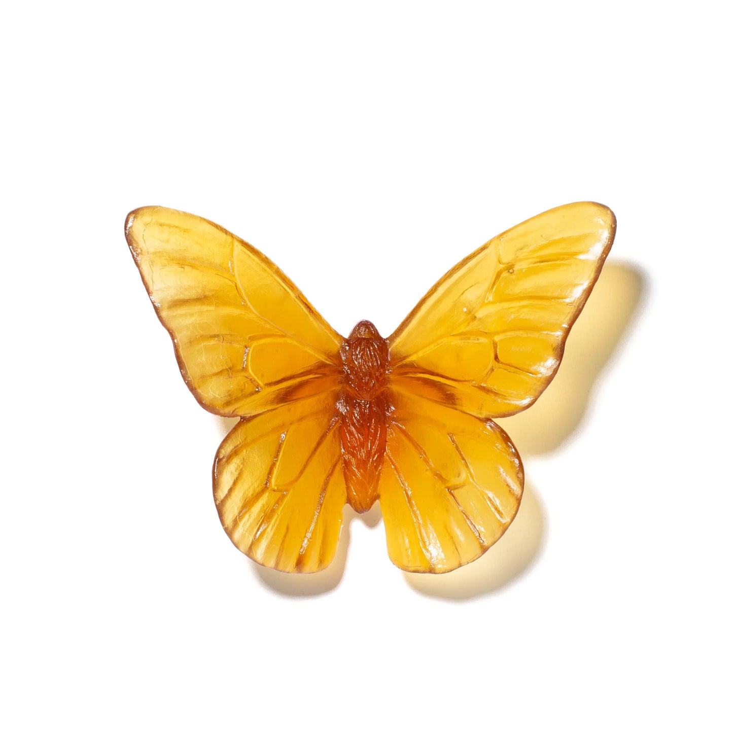 Kelp Glass Butterfly Artwork - Monarch by Luke Jacomb