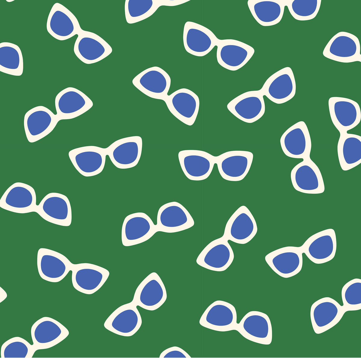 Double Glasses Case - Sunglasses