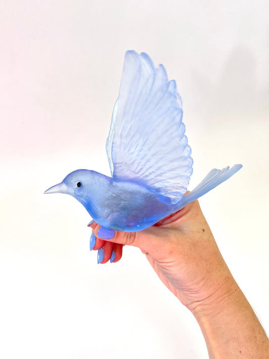Stitchbird / Hihi - Pale Cobolt Blue
