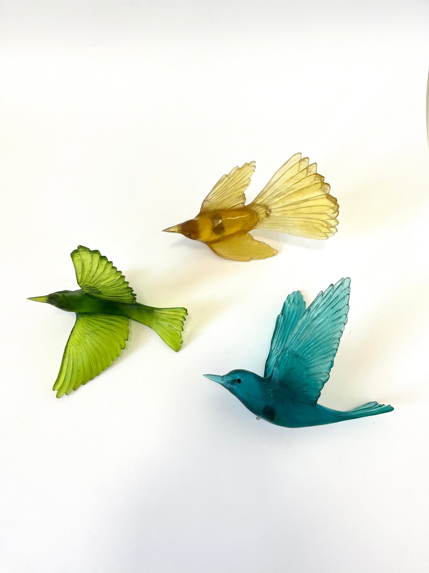 Silvereye / Tauhou - Olive