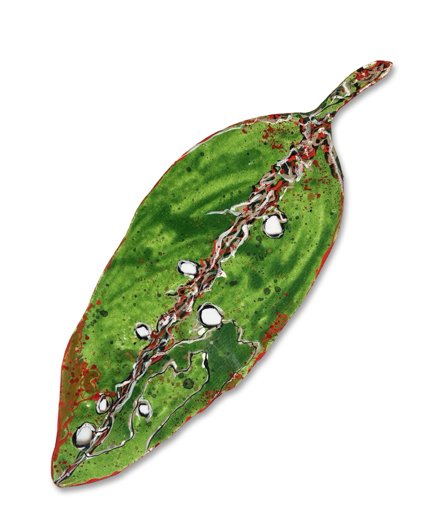 Medium Pohutukawa Leaf (21731)