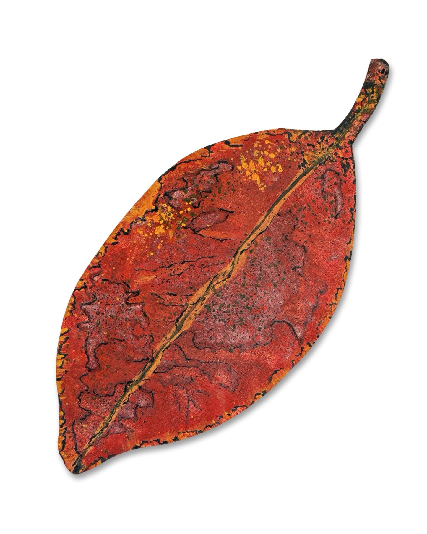 Medium Pohutukawa Leaf (23437)