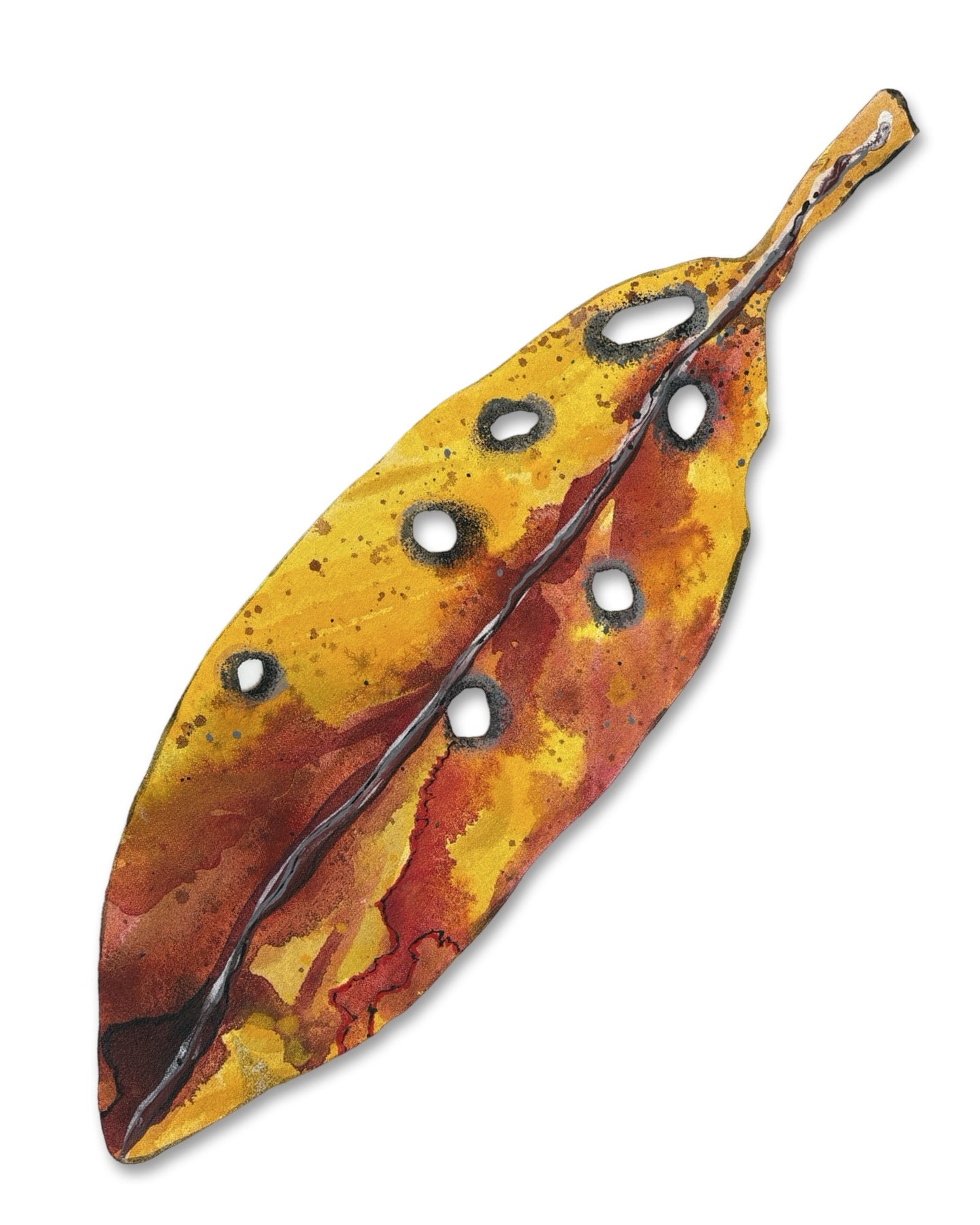 Medium Pohutukawa Leaf (24038)