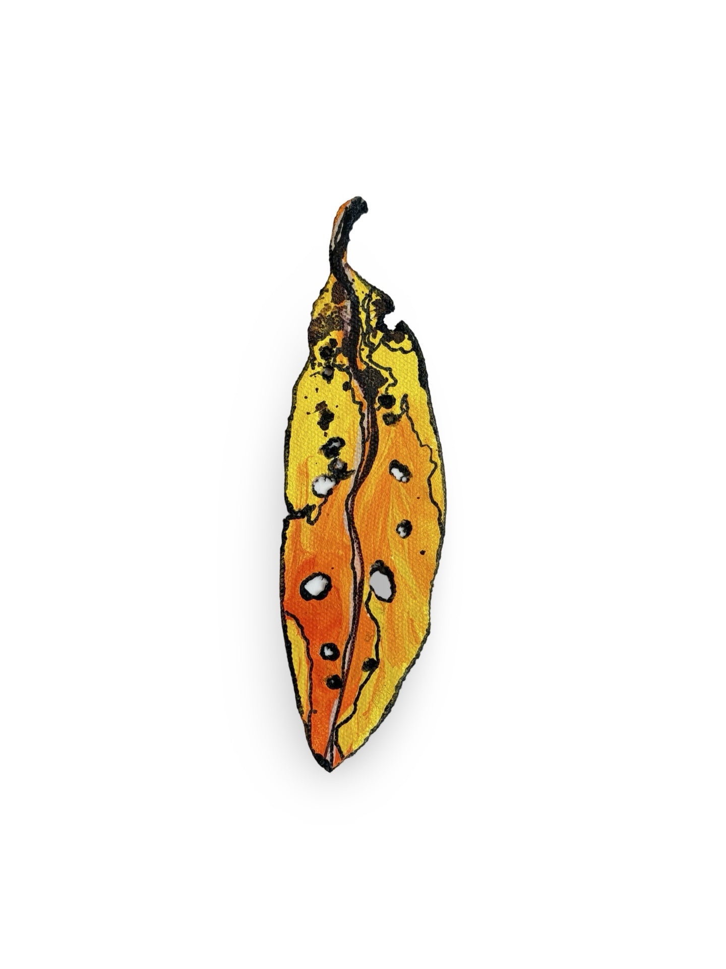 Tiny Pohutukawa Leaf (21673)