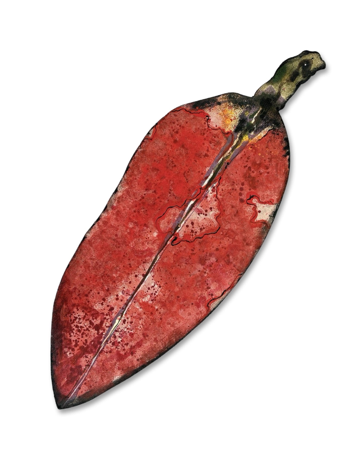 Medium Pohutukawa Leaf (18265)