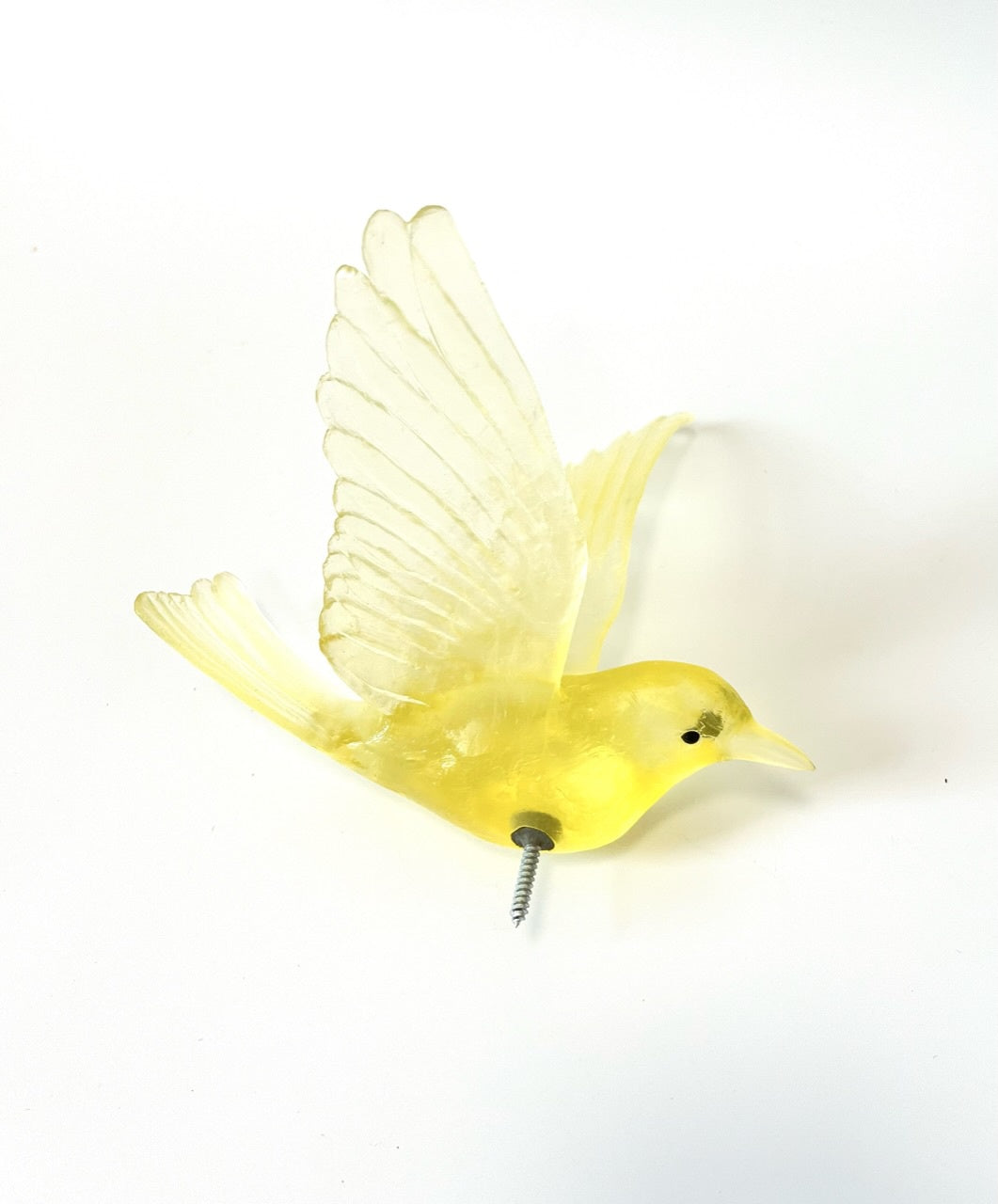 Stitchbird / Hihi - Citrine