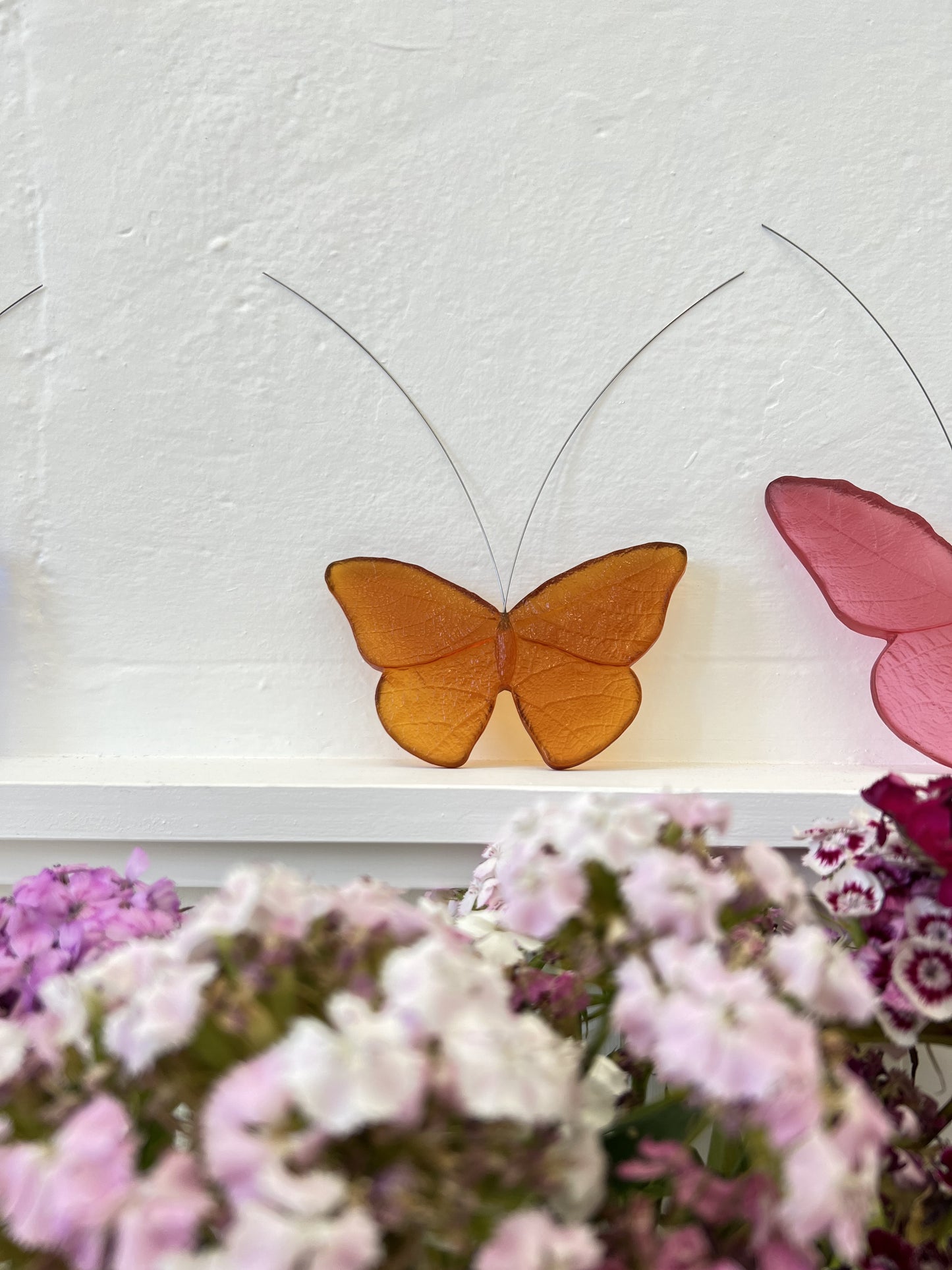 Glass Red Admiral / Kahukura Butterfly - New Yellow