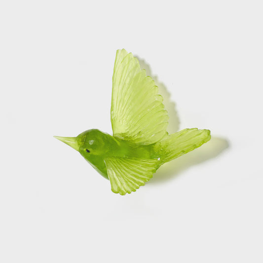 Tomtit / Kōmiromiro - Lime