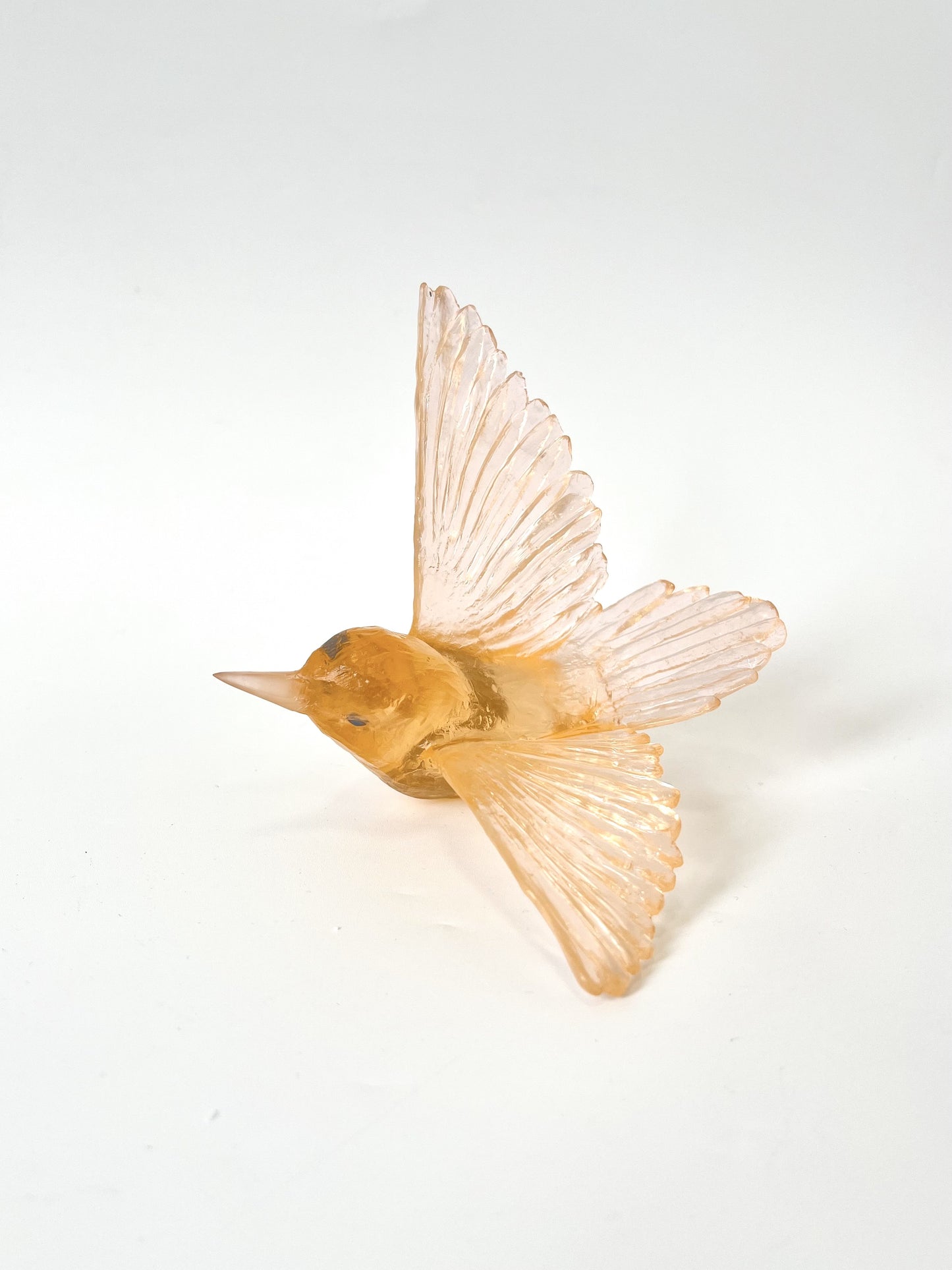 Tomtit / Kōmiromiro - Apricot
