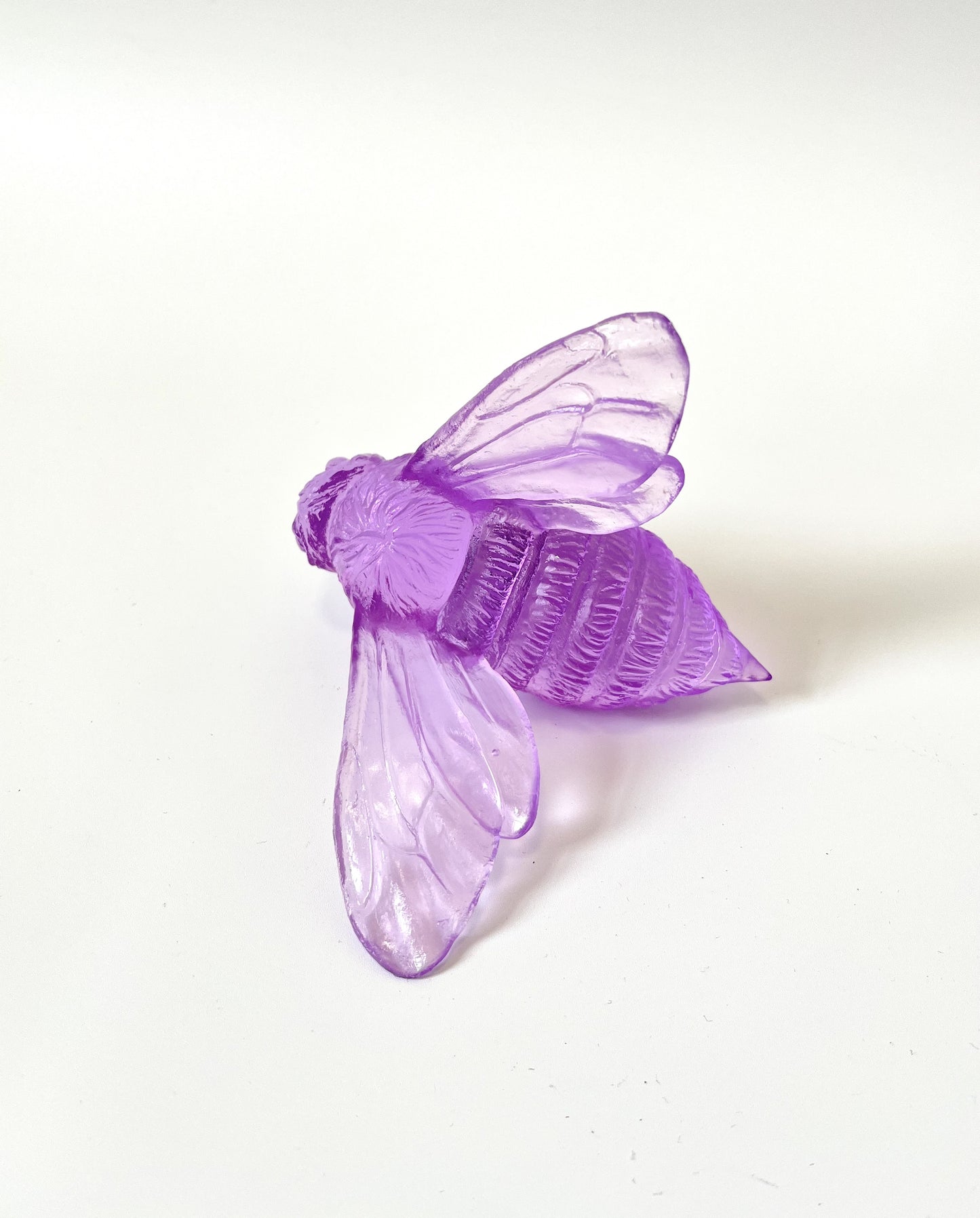 Bee - Fuchsia