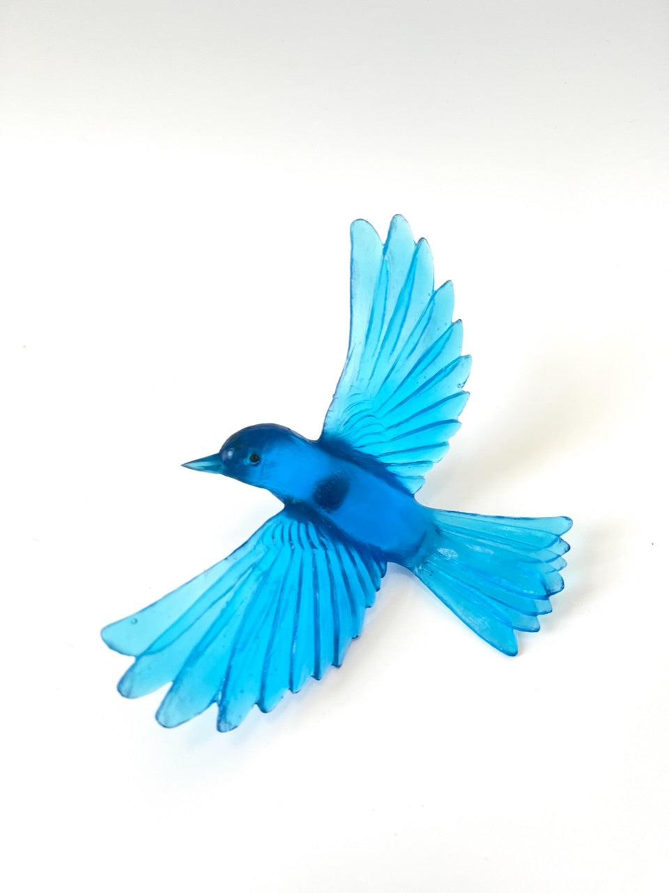 Yellowhead / Mōhua - Copper Blue
