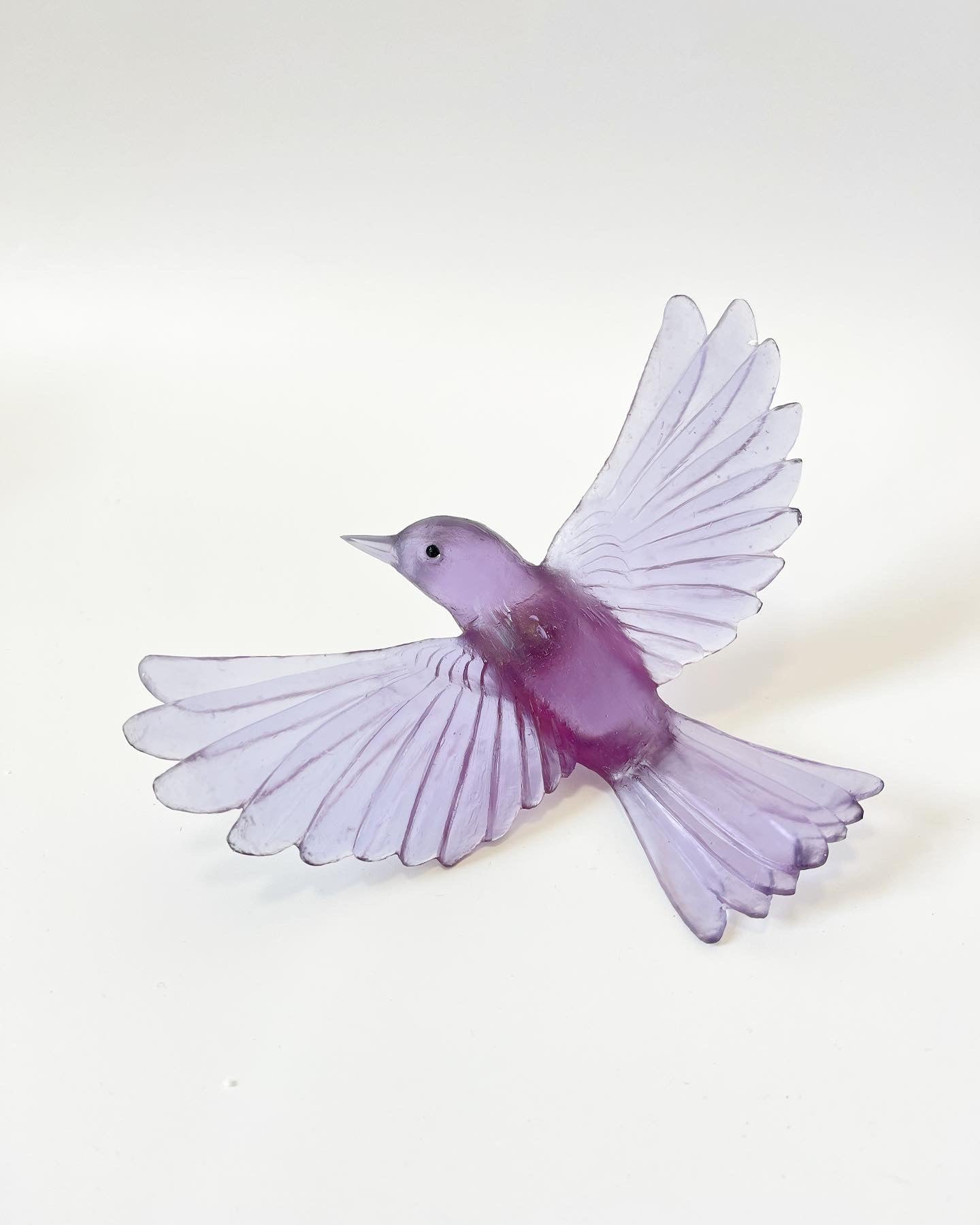 Yellowhead / Mōhua - Purple