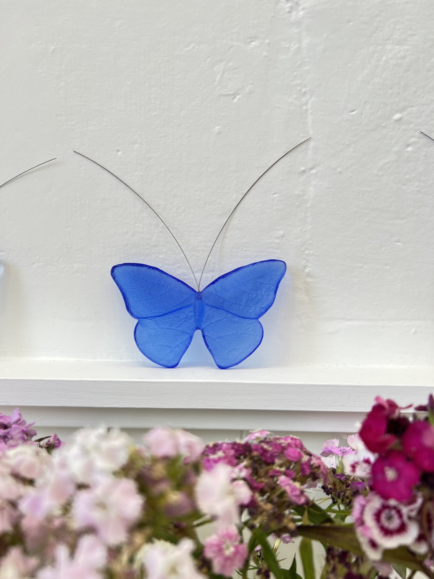 Glass Red Admiral / Kahukura Butterfly - Cobalt Blue