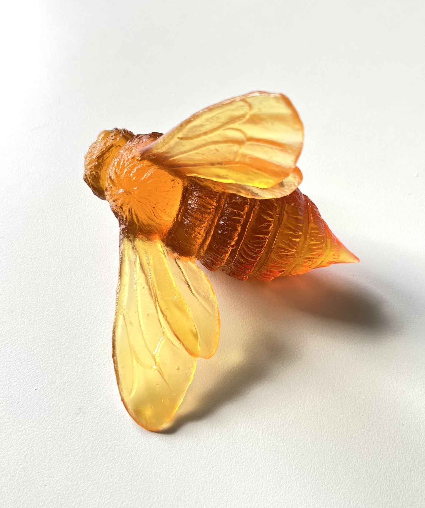 Bee Glass artwork by Luke Jacomb - Orange