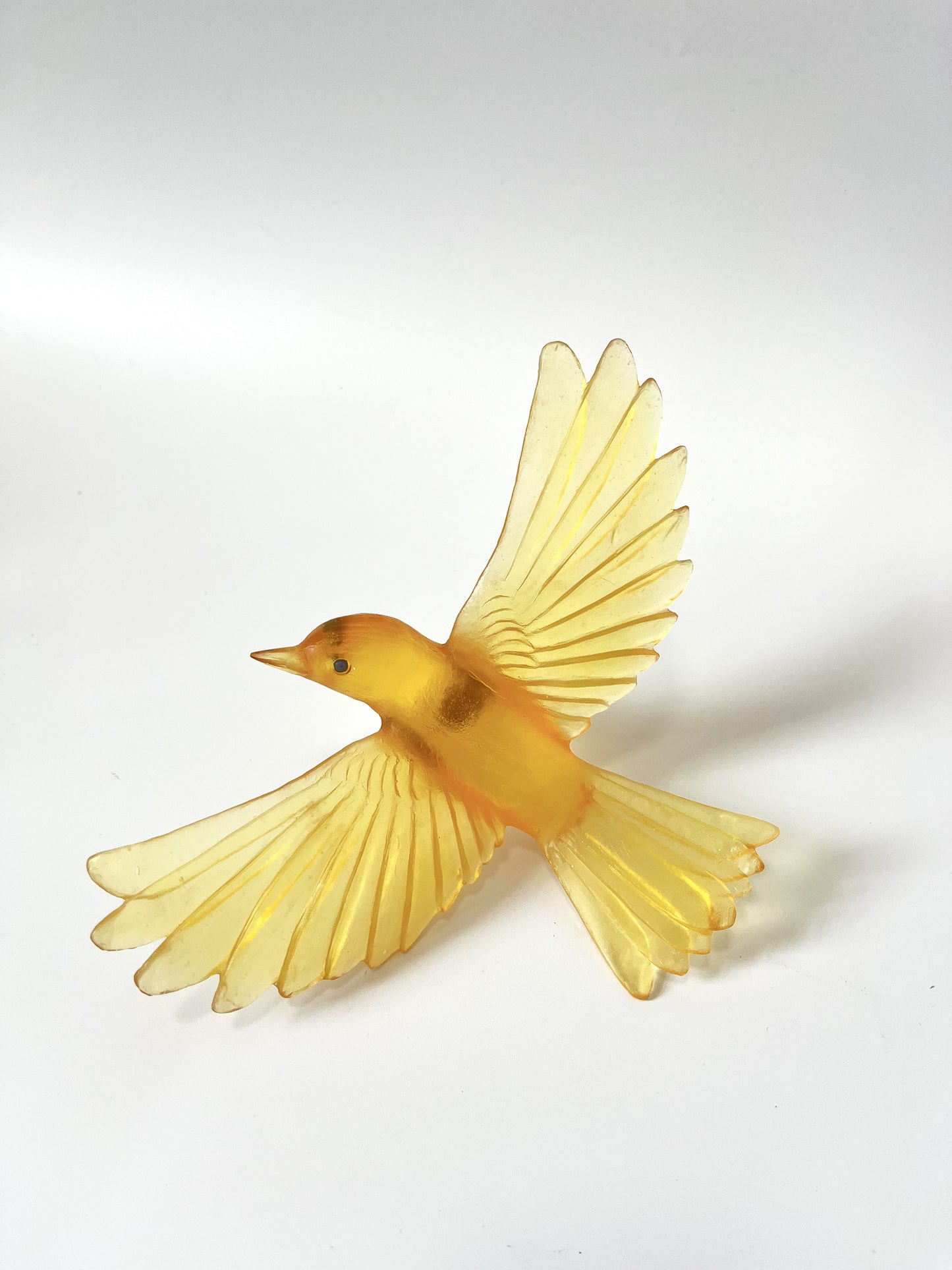 Yellowhead / Mōhua - Pale Yellow