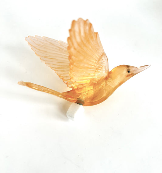 Bellbird / Korimako - Apricot