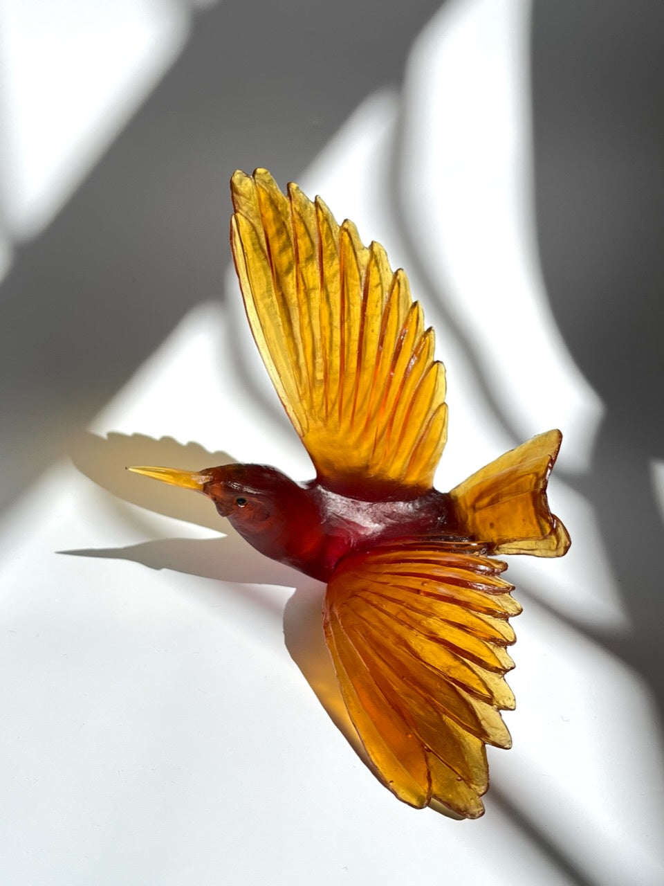 Saddleback - Dark Orange Red
