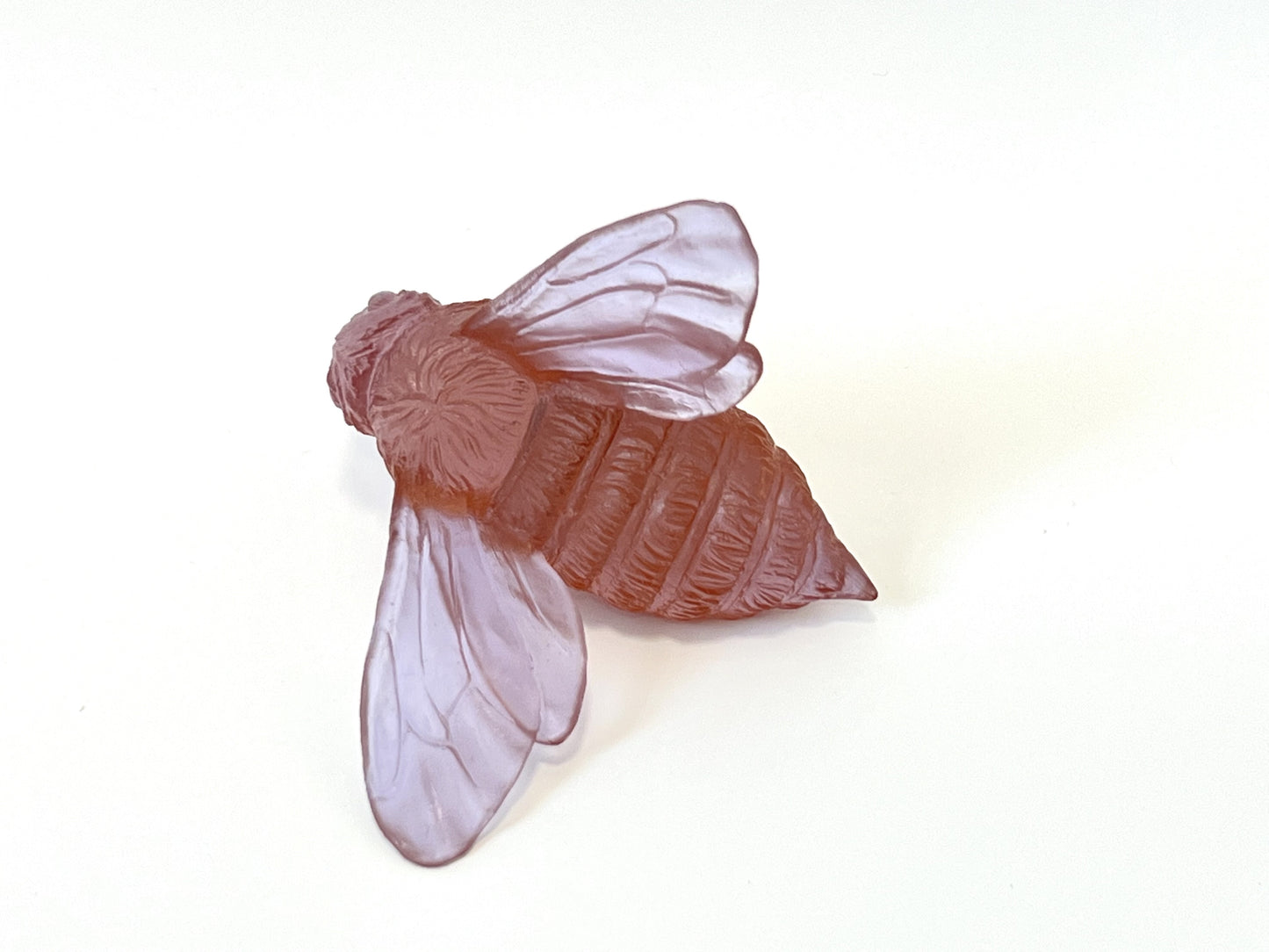Bee - Rose