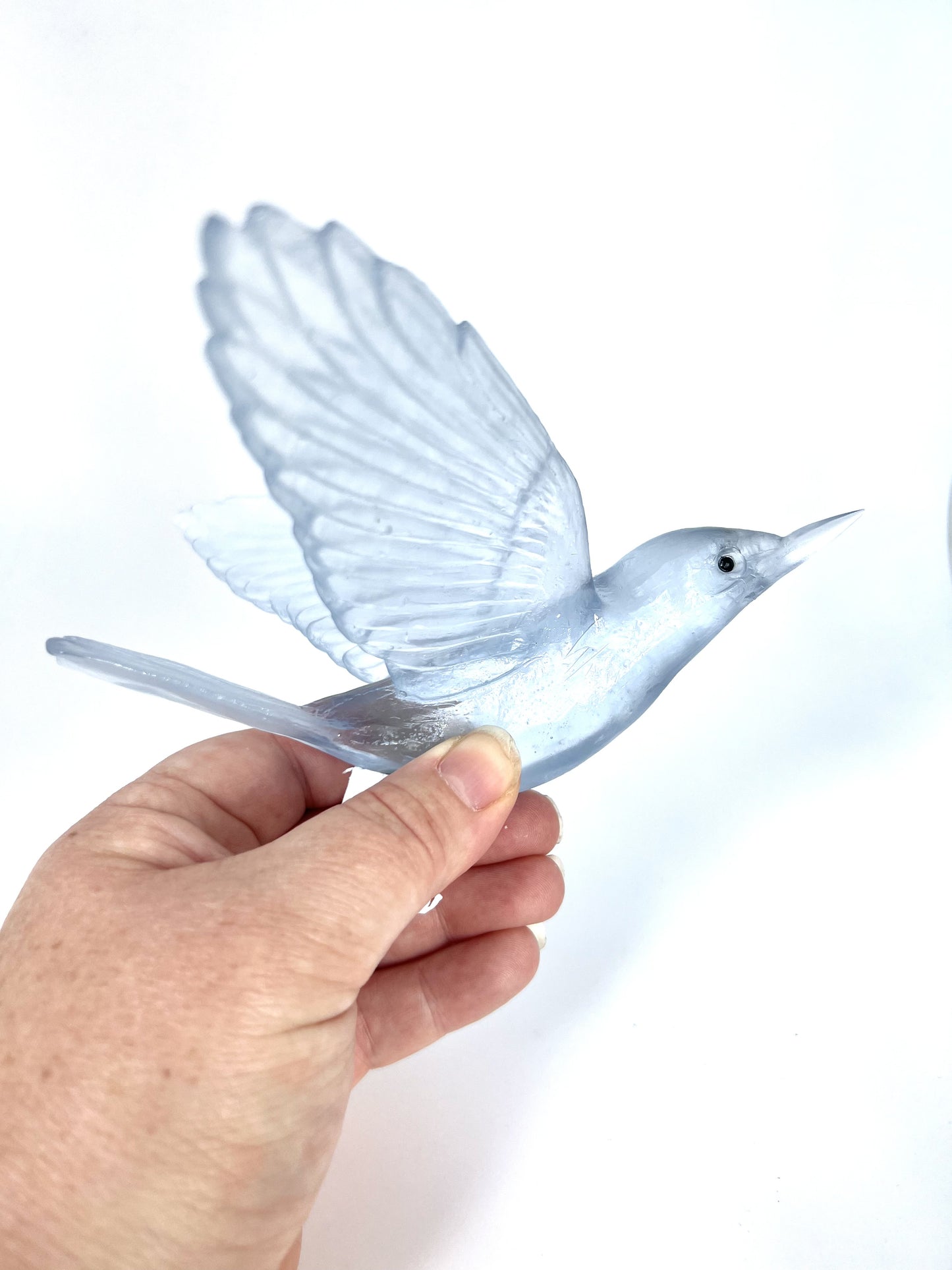 Bellbird / Korimako - Pale Steel Blue