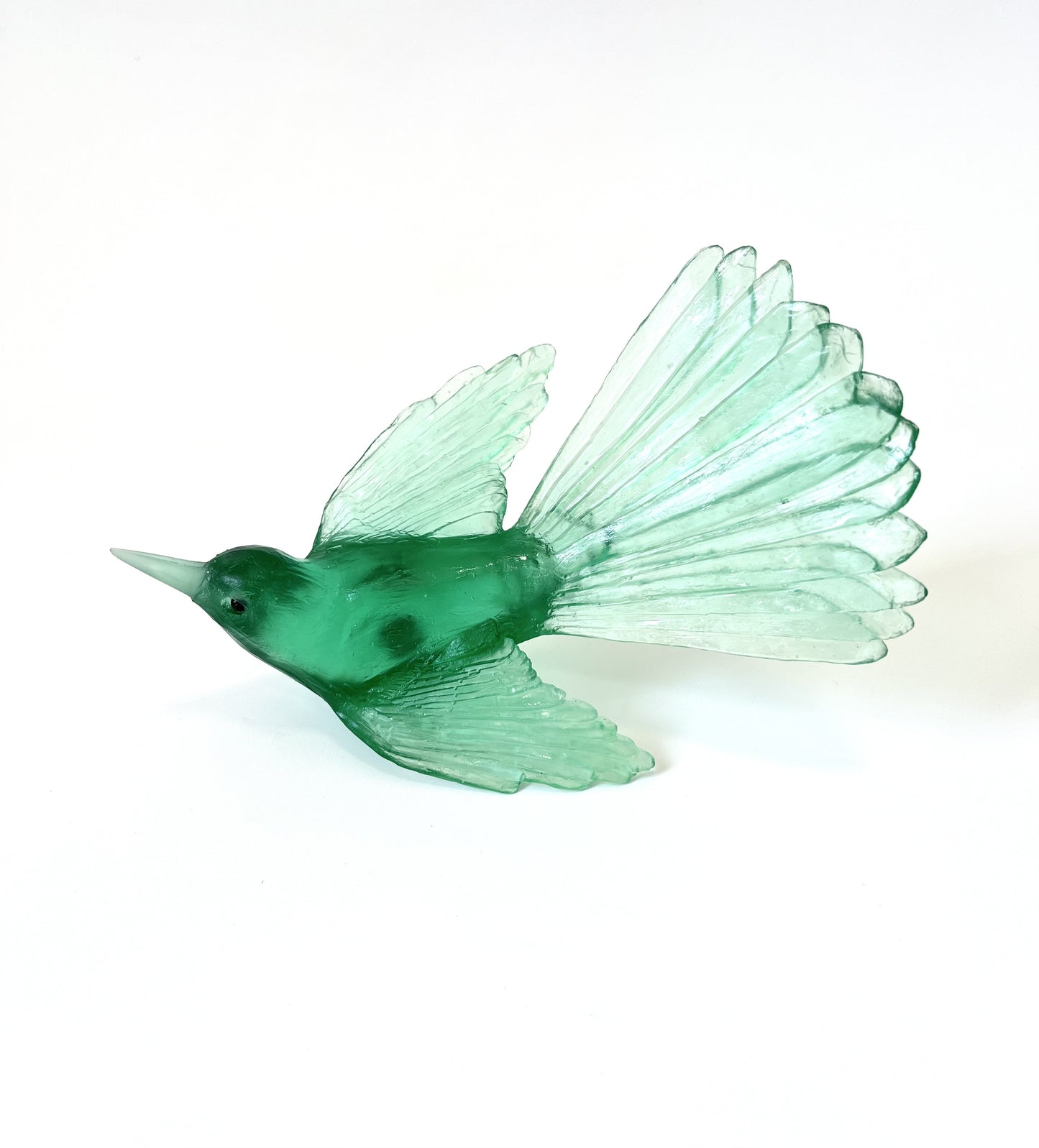 Fantail / Pīwakawaka - Tourmaline